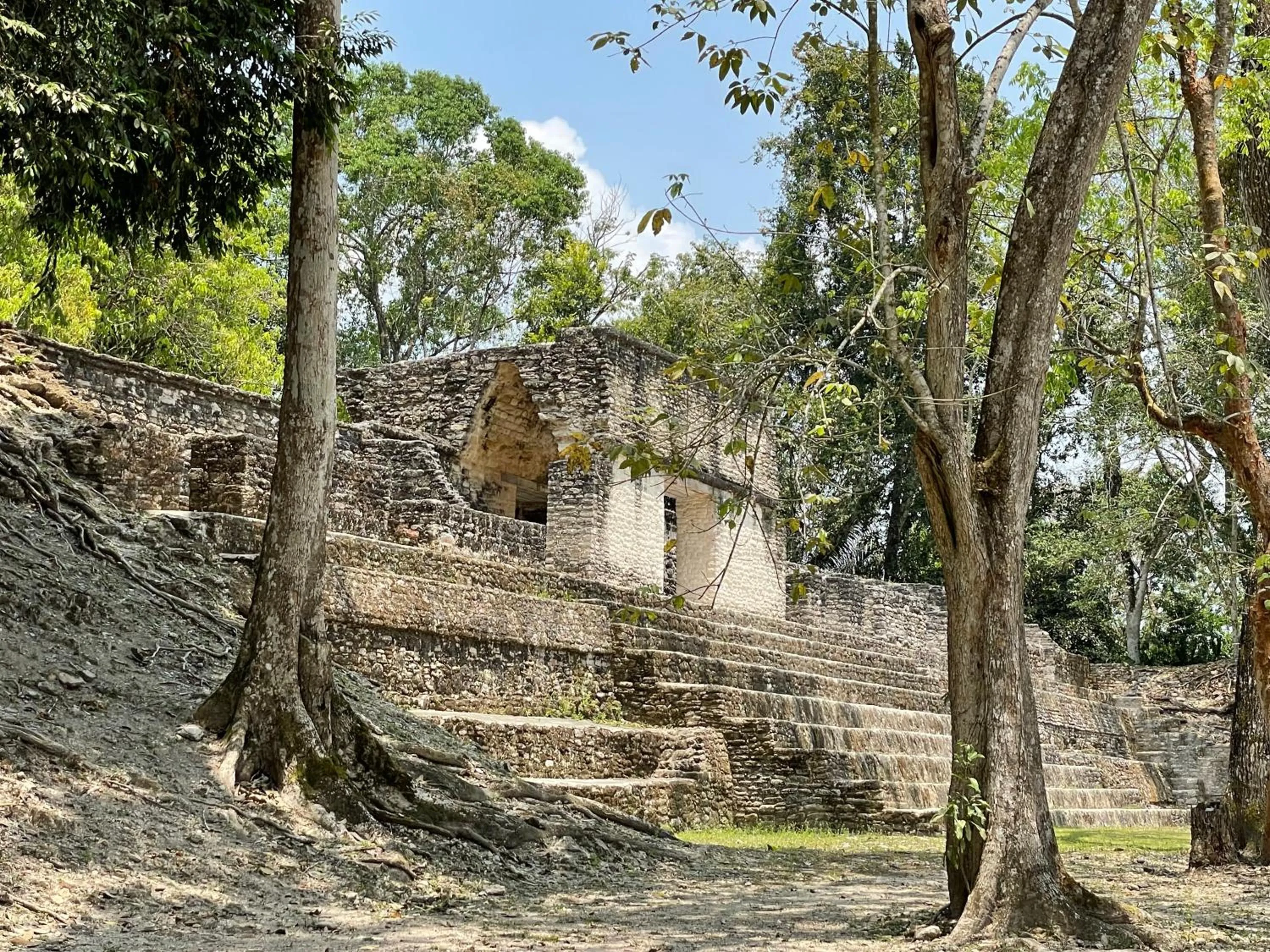 Activities in Gumbo Limbo Jungle Resort