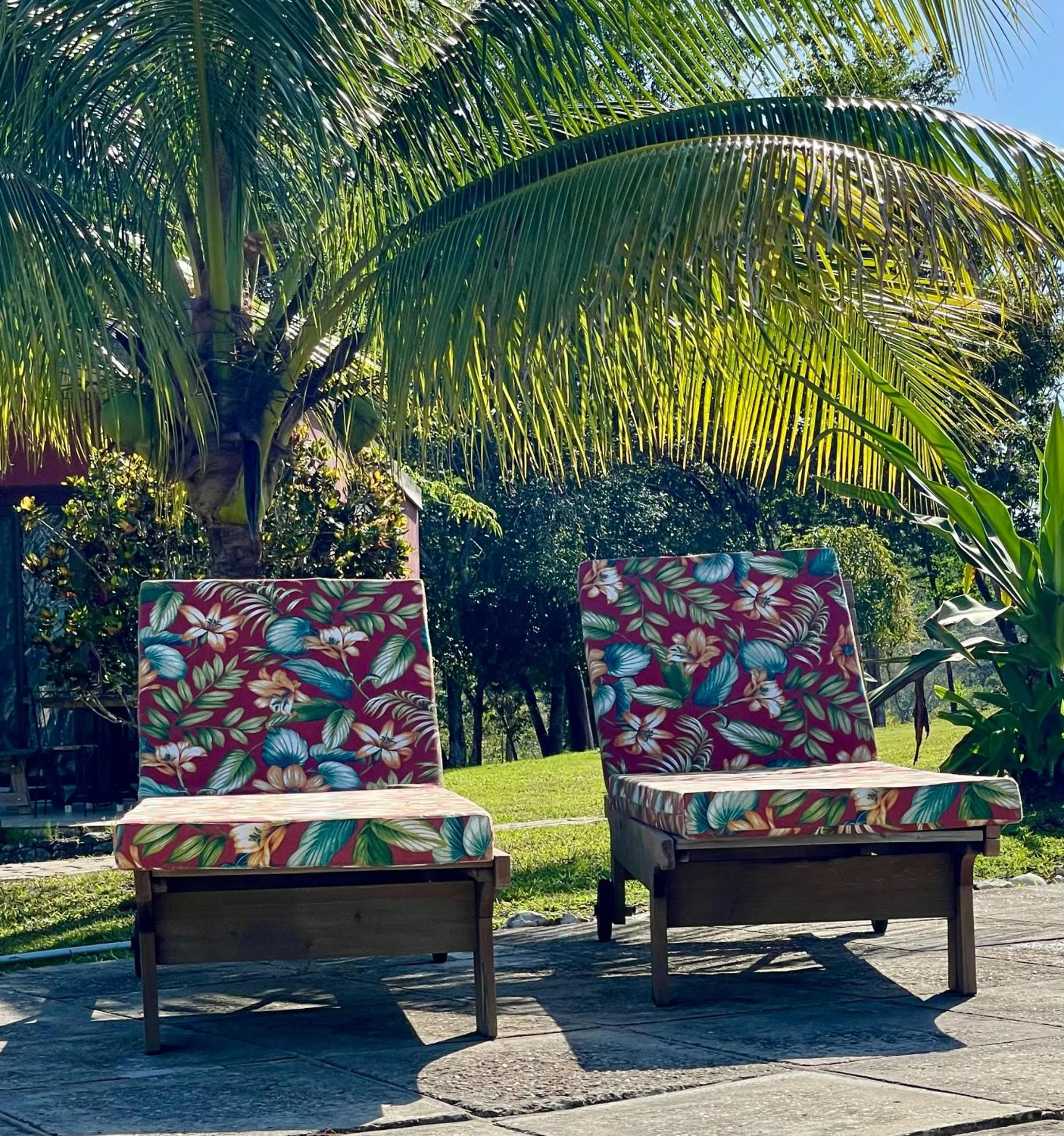 sunbed in Gumbo Limbo Jungle Resort