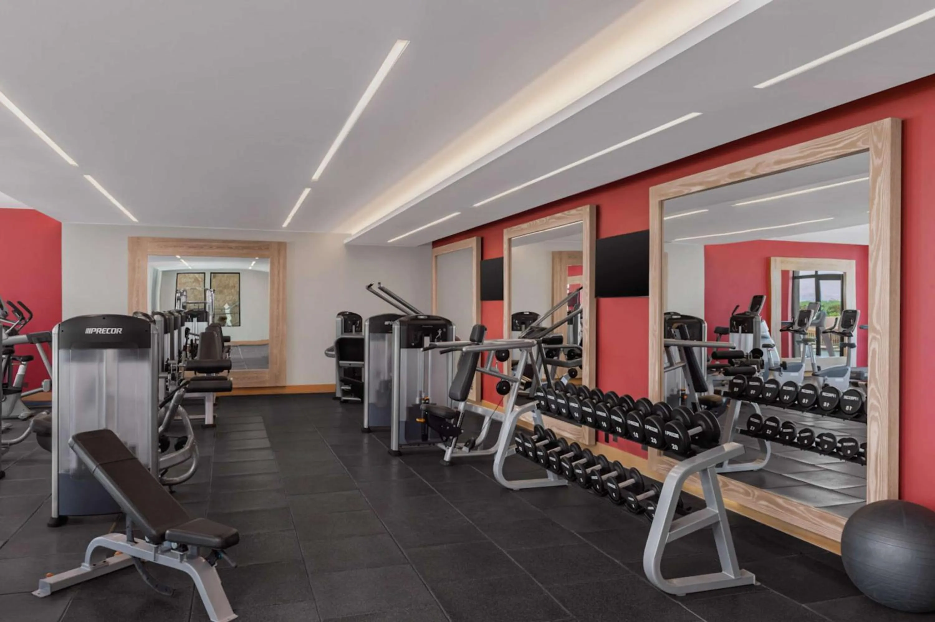 Fitness centre/facilities in Hilton Dead Sea Resort & Spa