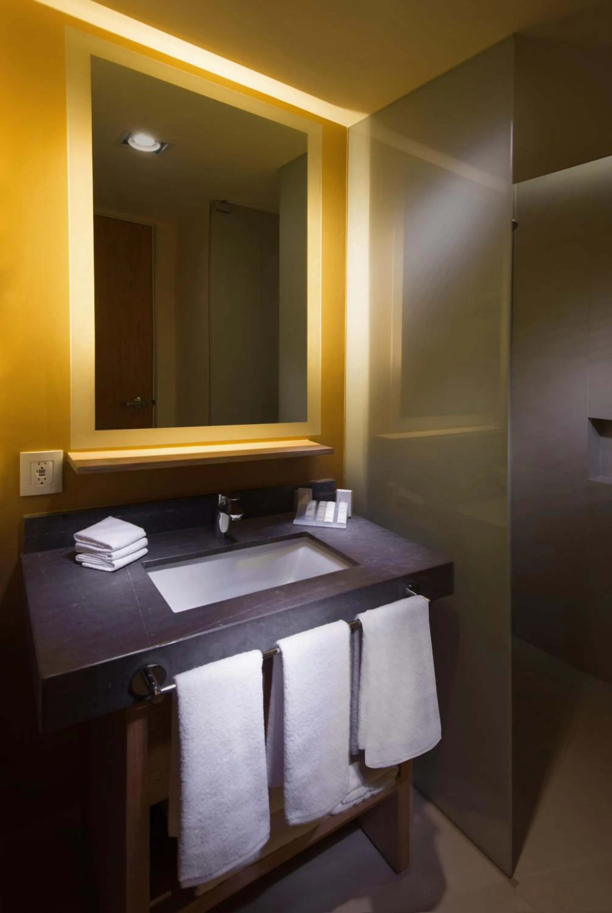 Bathroom, Bed in Hilton Garden Inn Monterrey Airport
