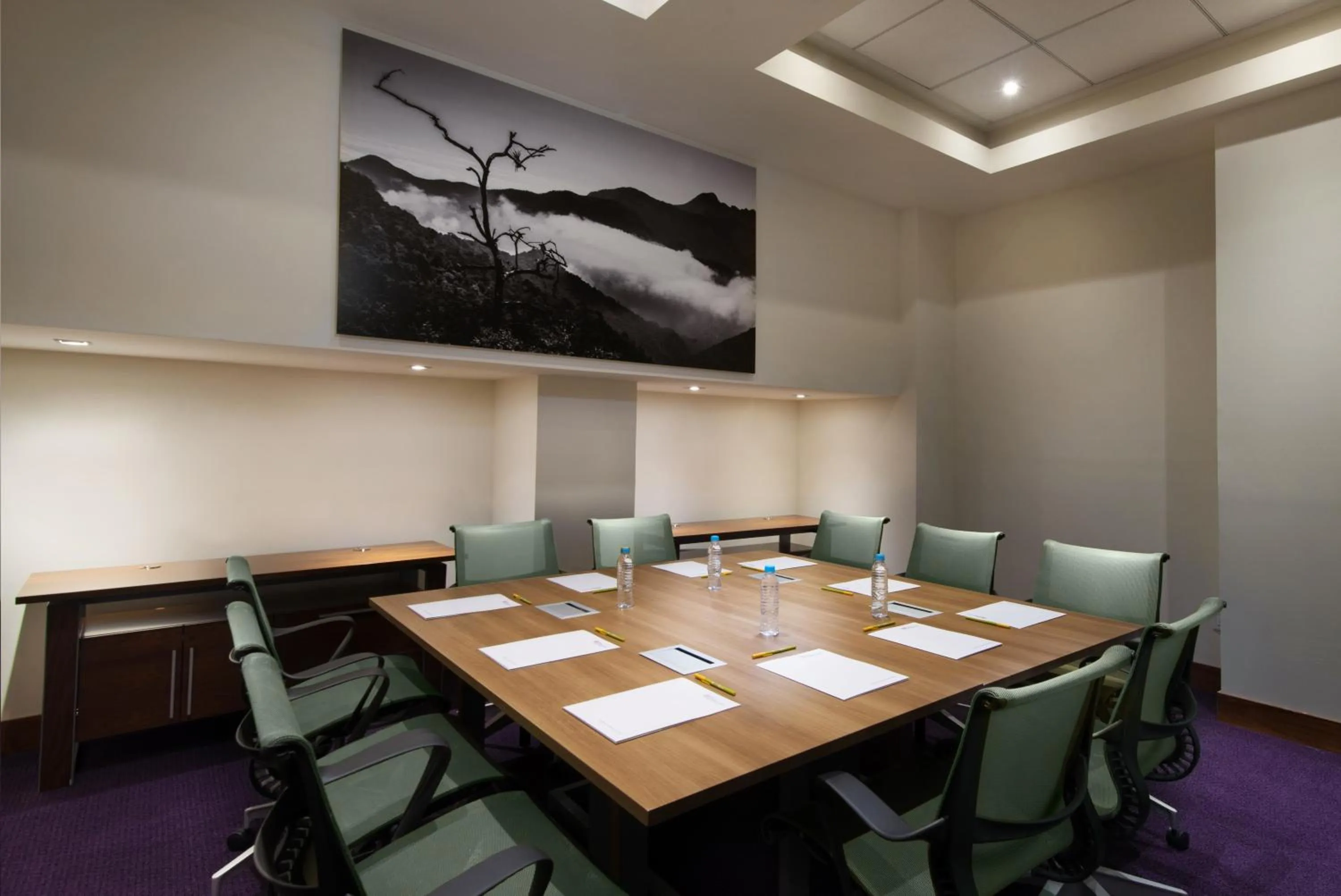 Business facilities in Hilton Garden Inn Monterrey Airport