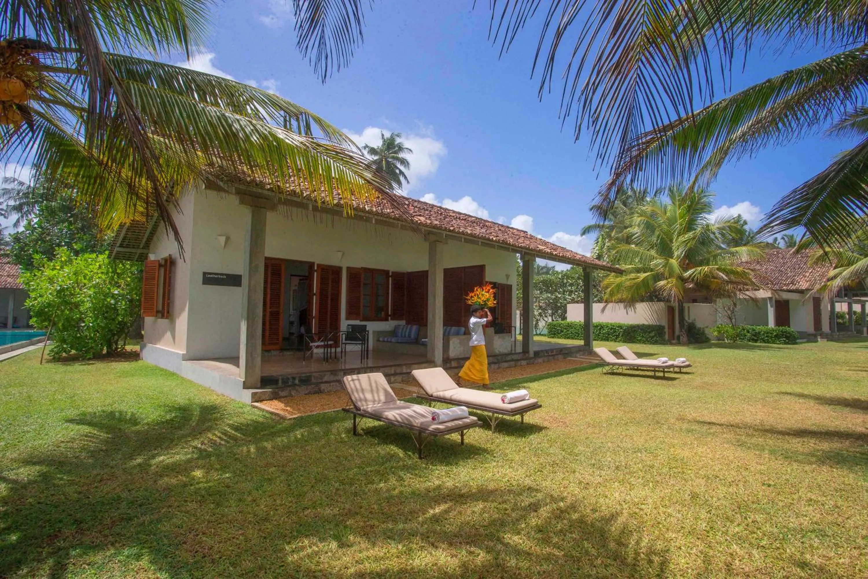 Garden in The Frangipani Tree by Edwards Collection - Thalpe