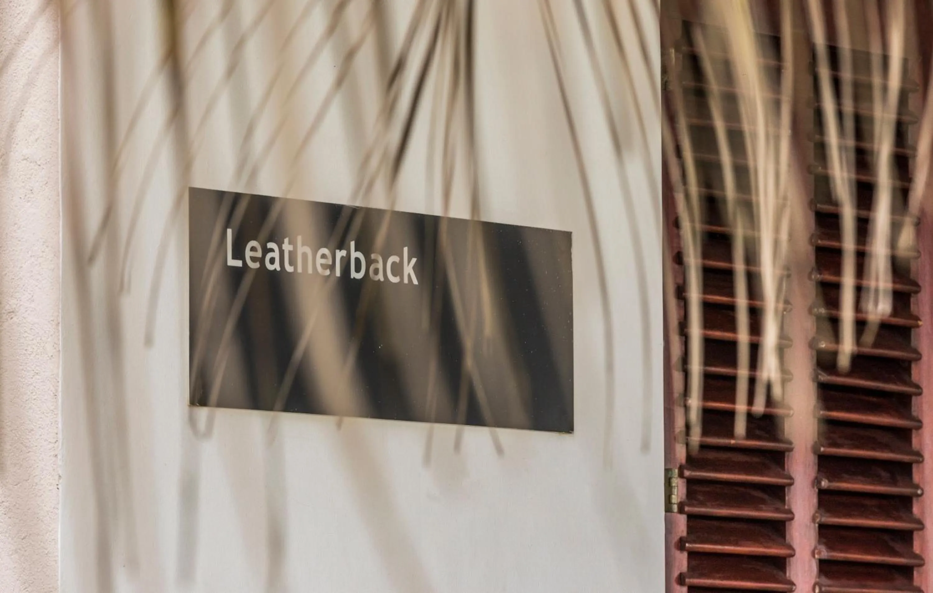 Text overlay in The Frangipani Tree by Edwards Collection - Thalpe