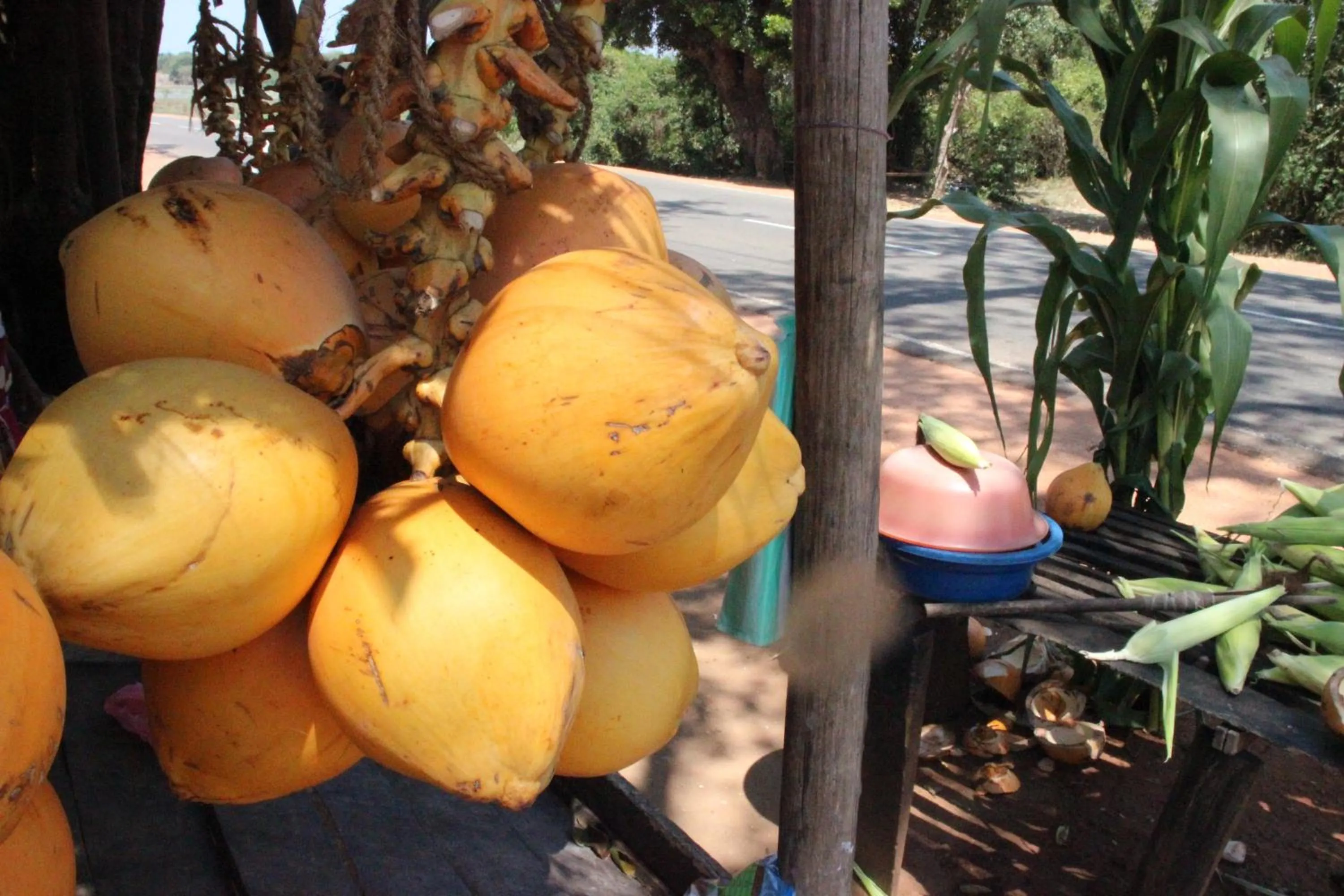 Miheen Hotel & Resort - Anuradhapura