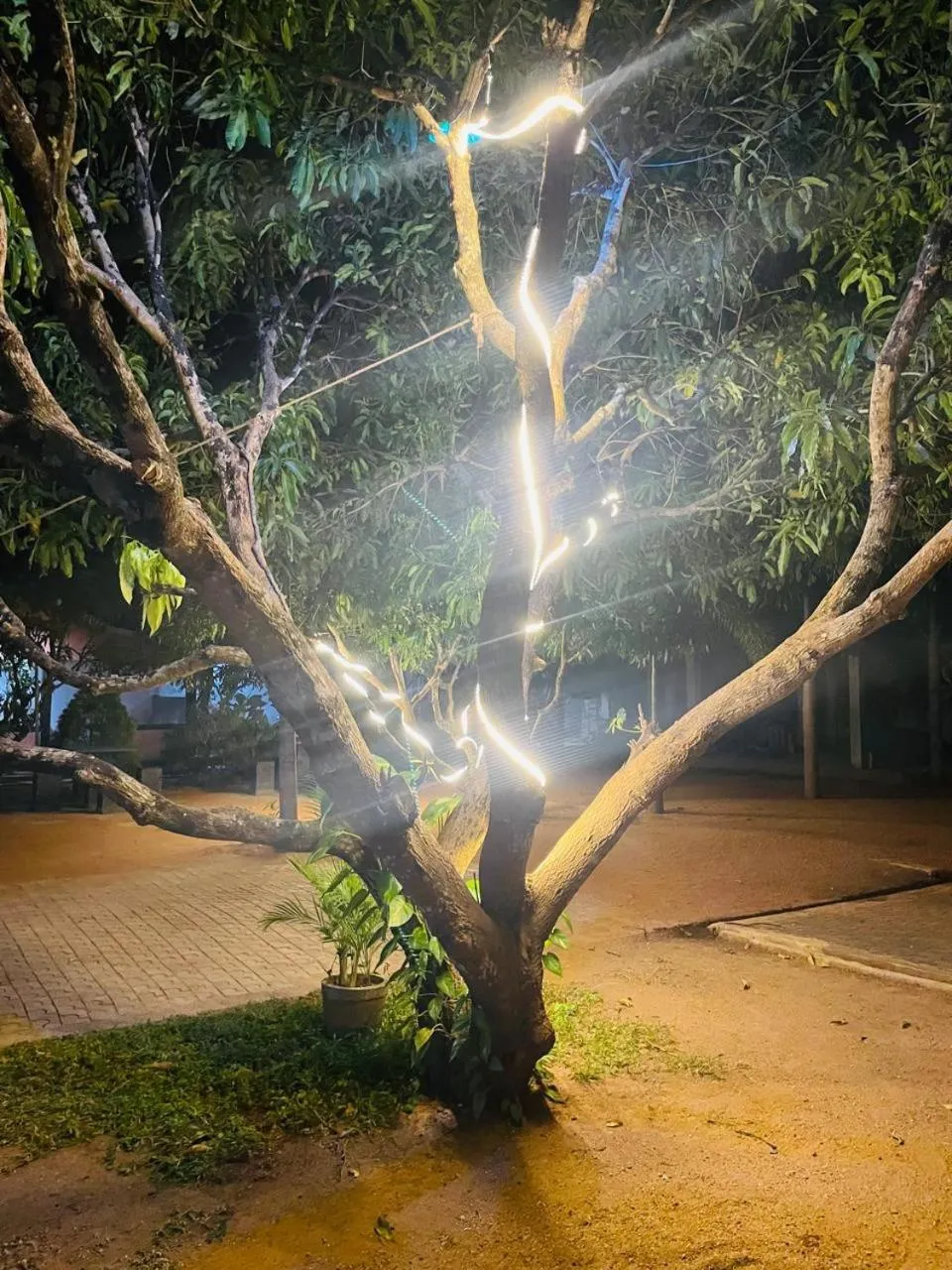 Miheen Hotel & Resort - Anuradhapura