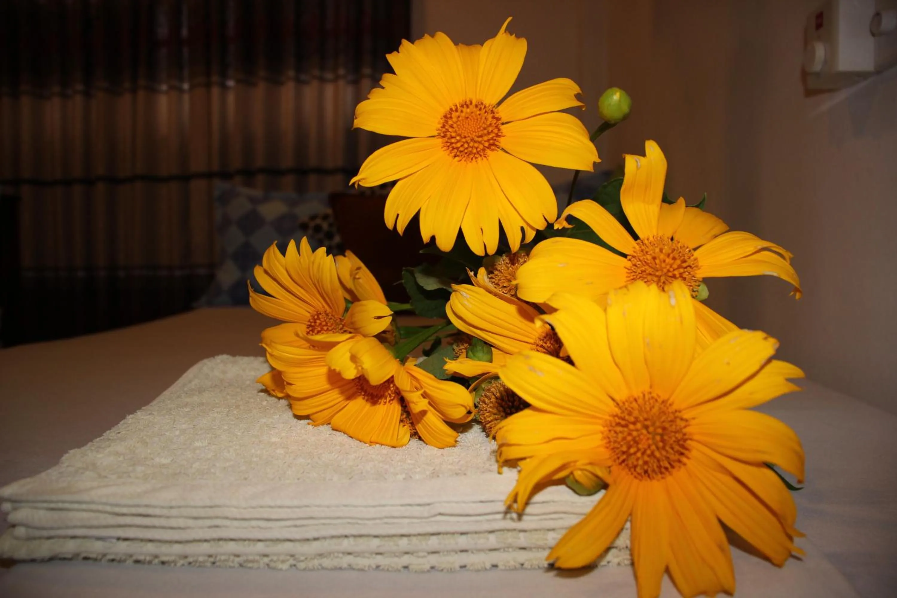 Bedroom in Miheen Hotel & Resort - Anuradhapura