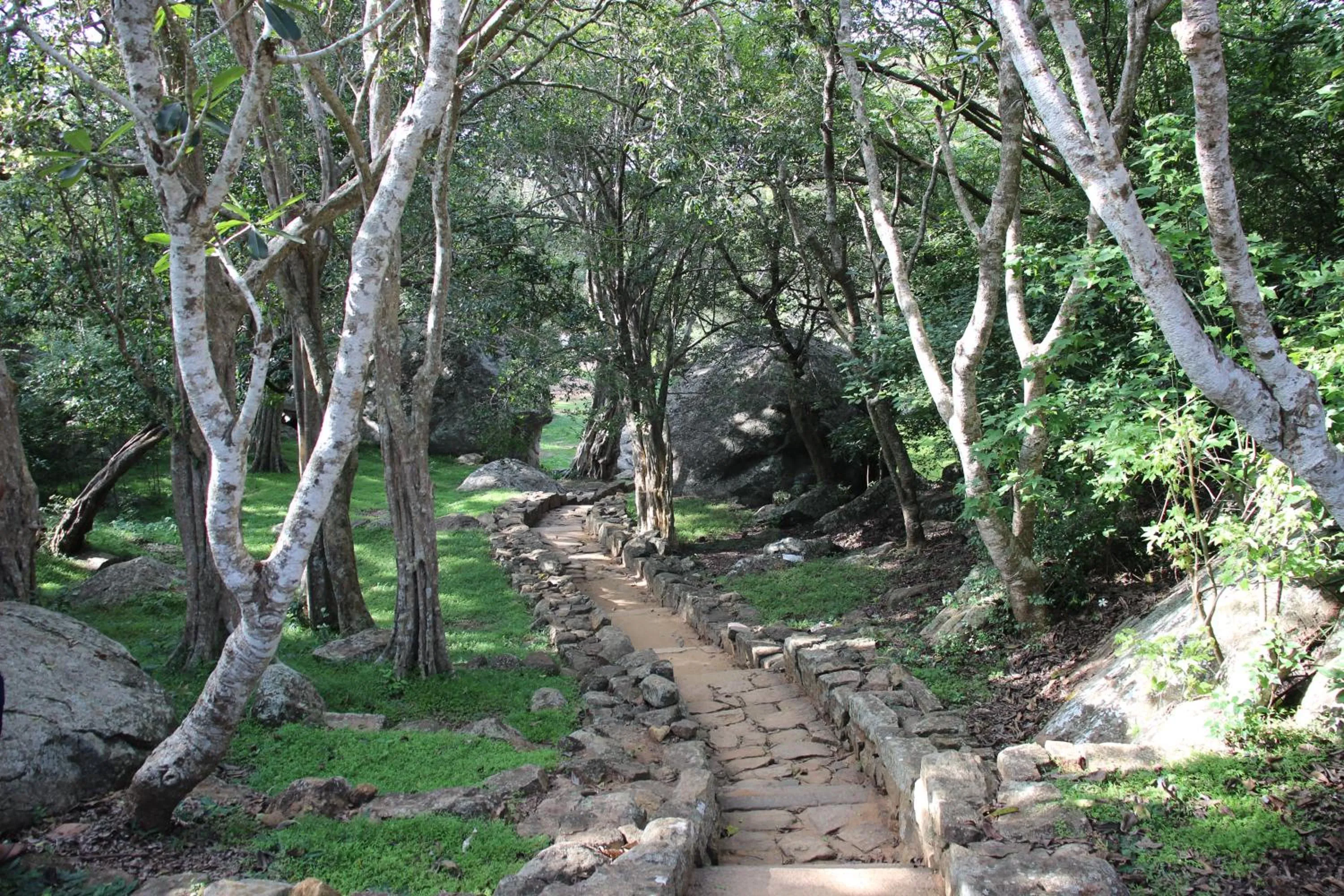 Nearby landmark in Miheen Hotel & Resort - Anuradhapura