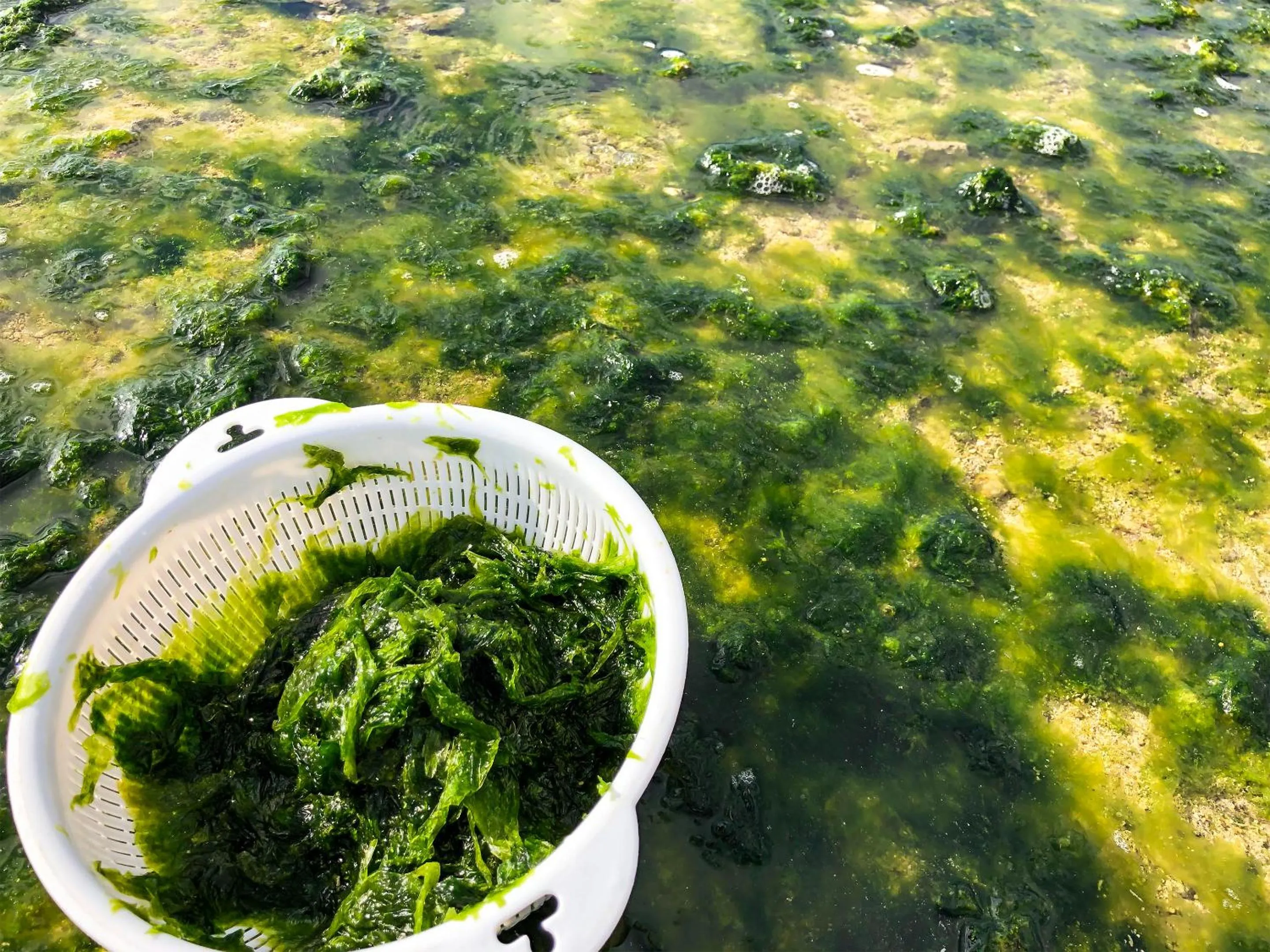 Off site in Minshuku Irayoi