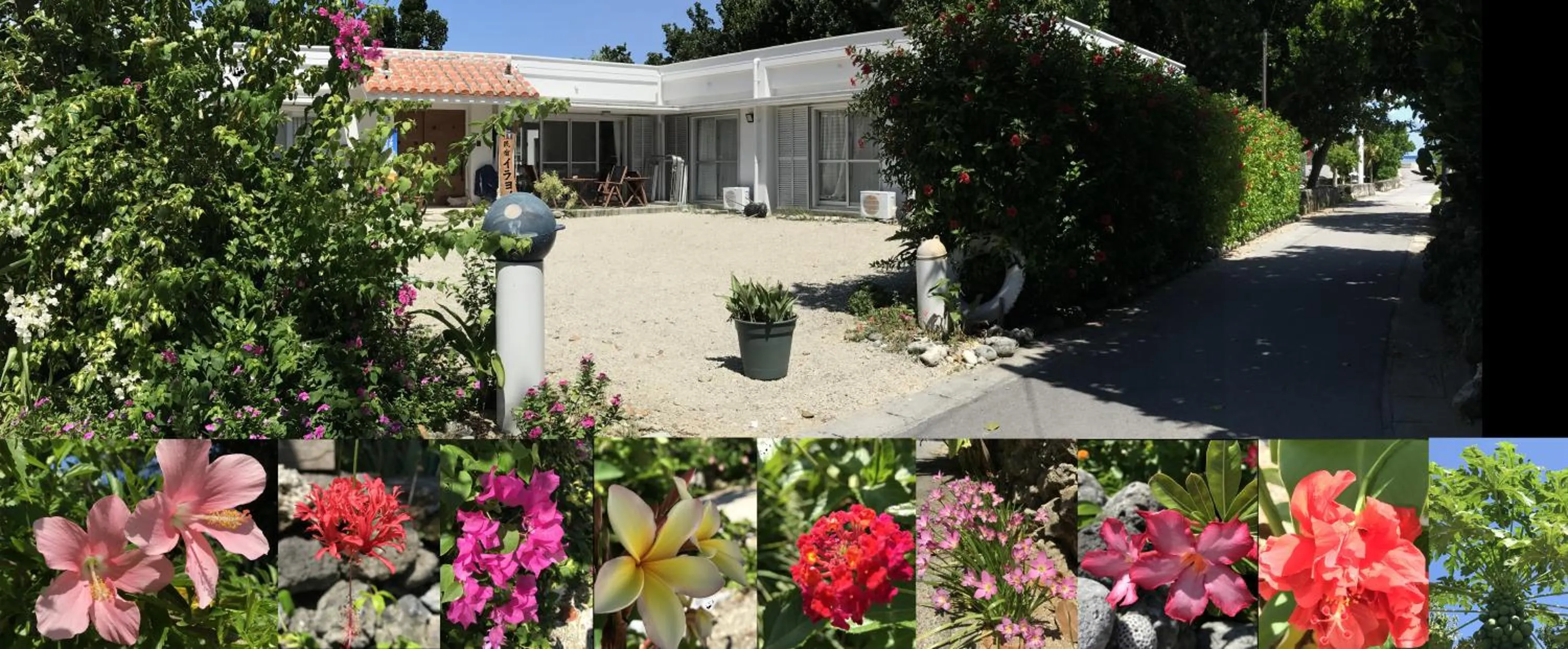 Facade/entrance in Minshuku Irayoi