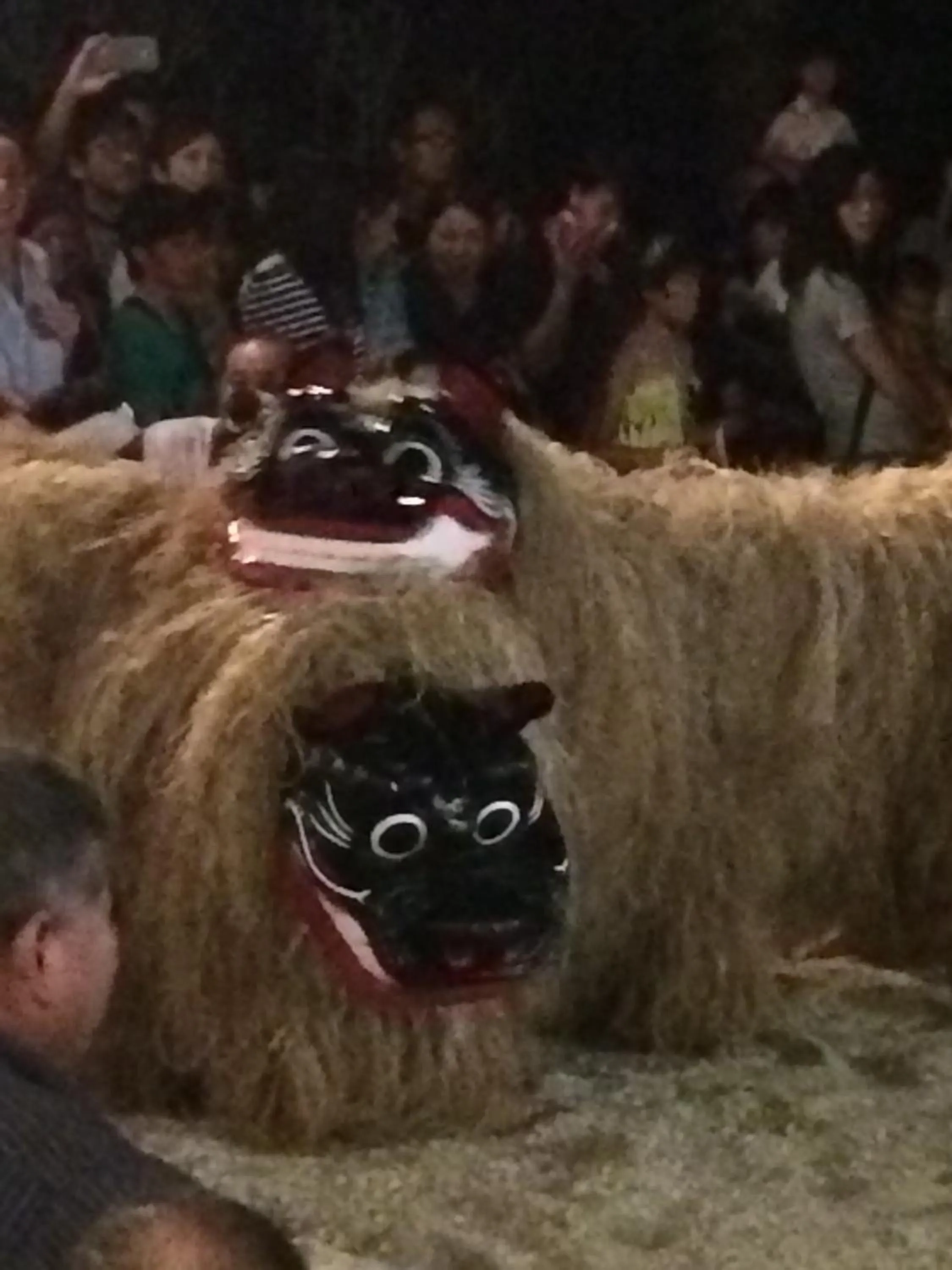 Other in Minshuku Irayoi