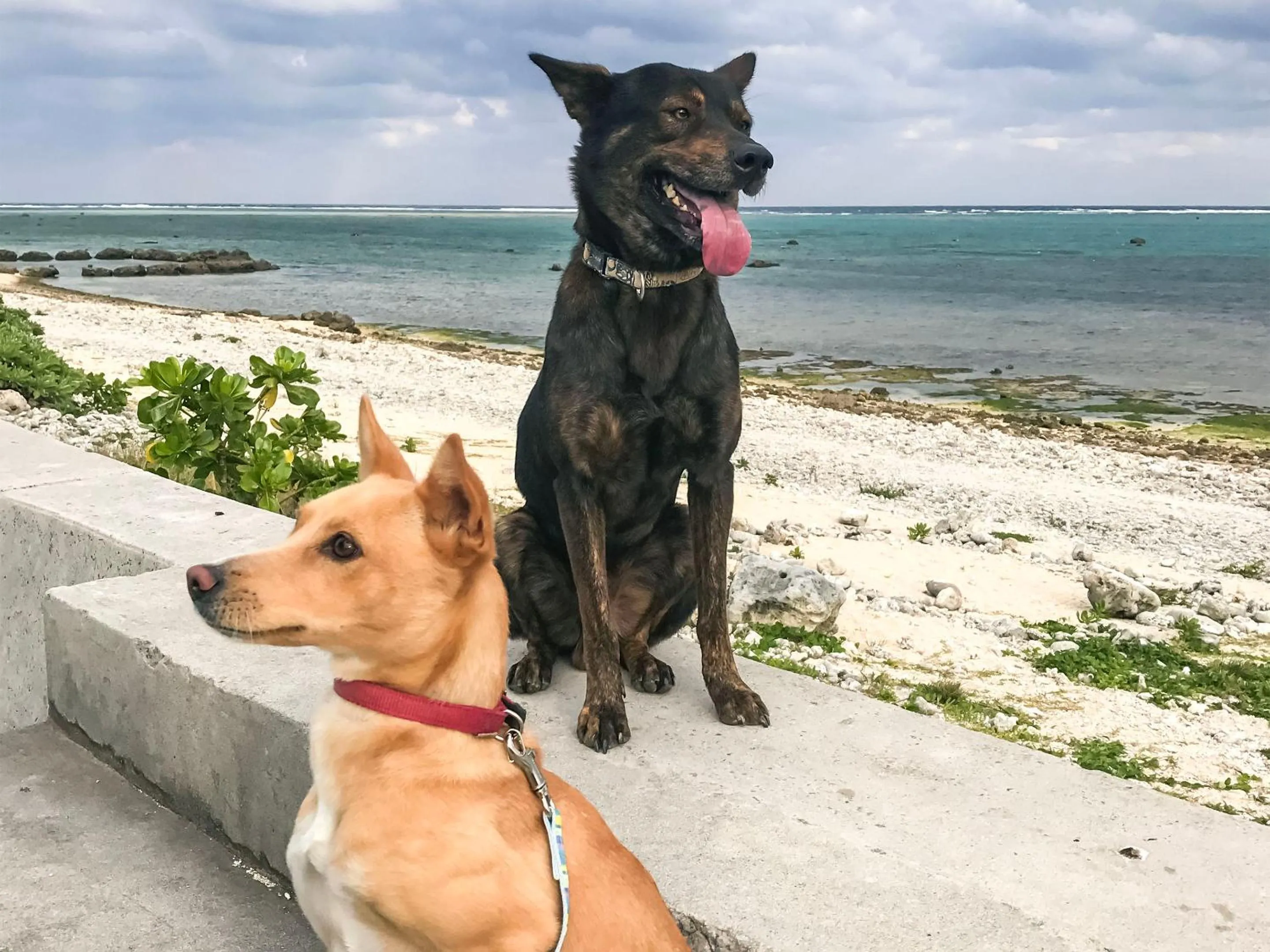 Off site in Minshuku Irayoi