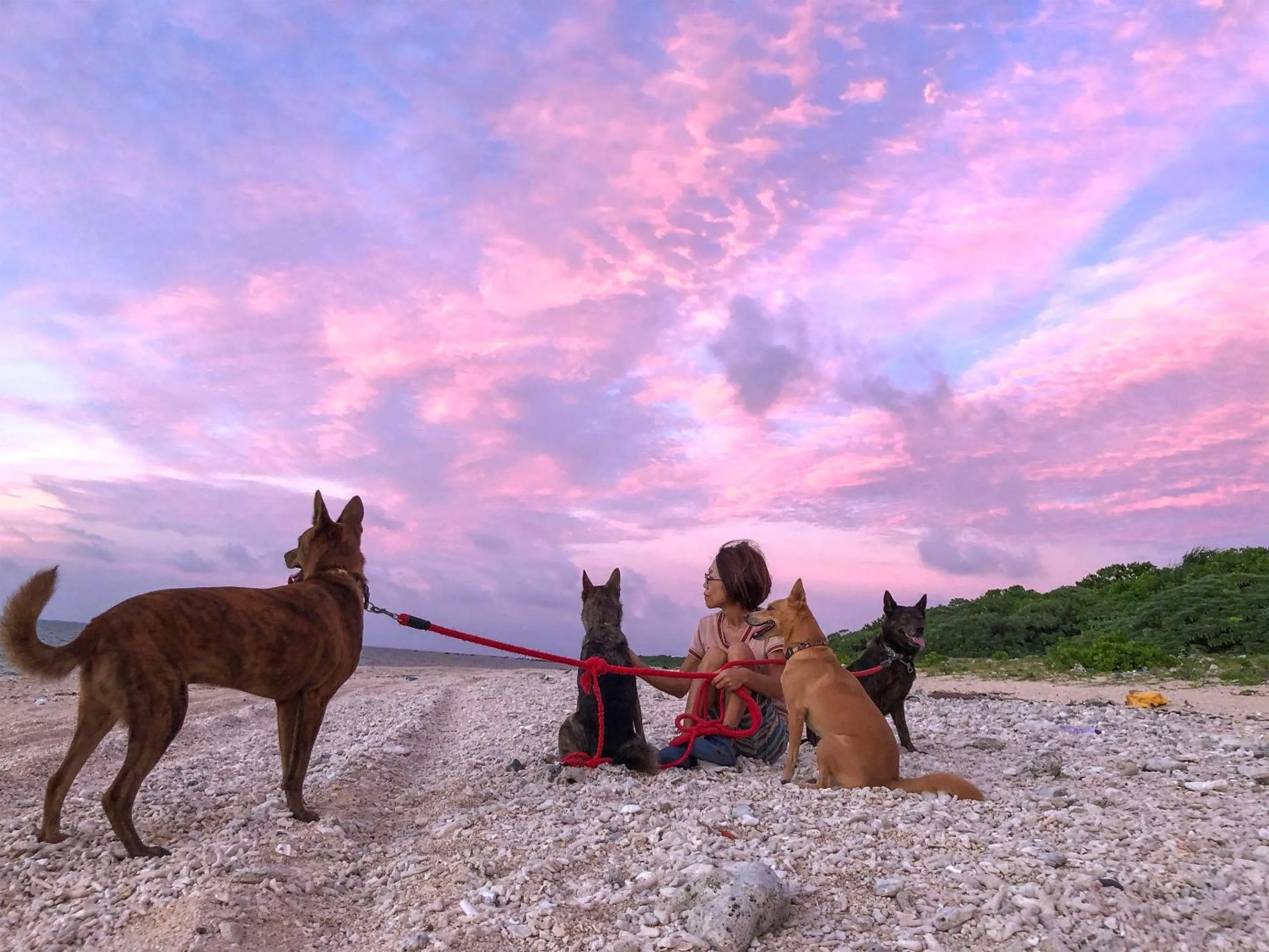 Off site in Minshuku Irayoi