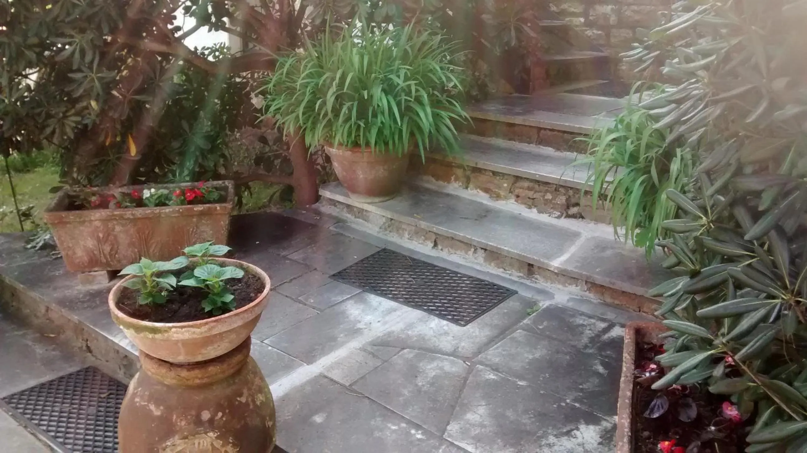 Garden view in Casa Furrer