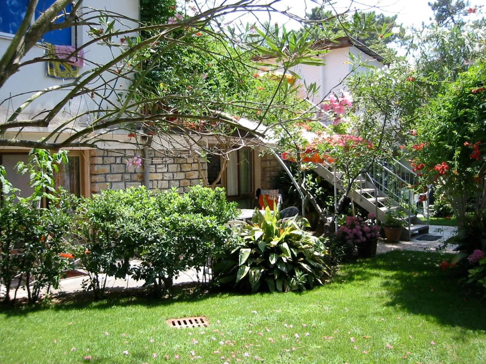 Garden view in Casa Furrer