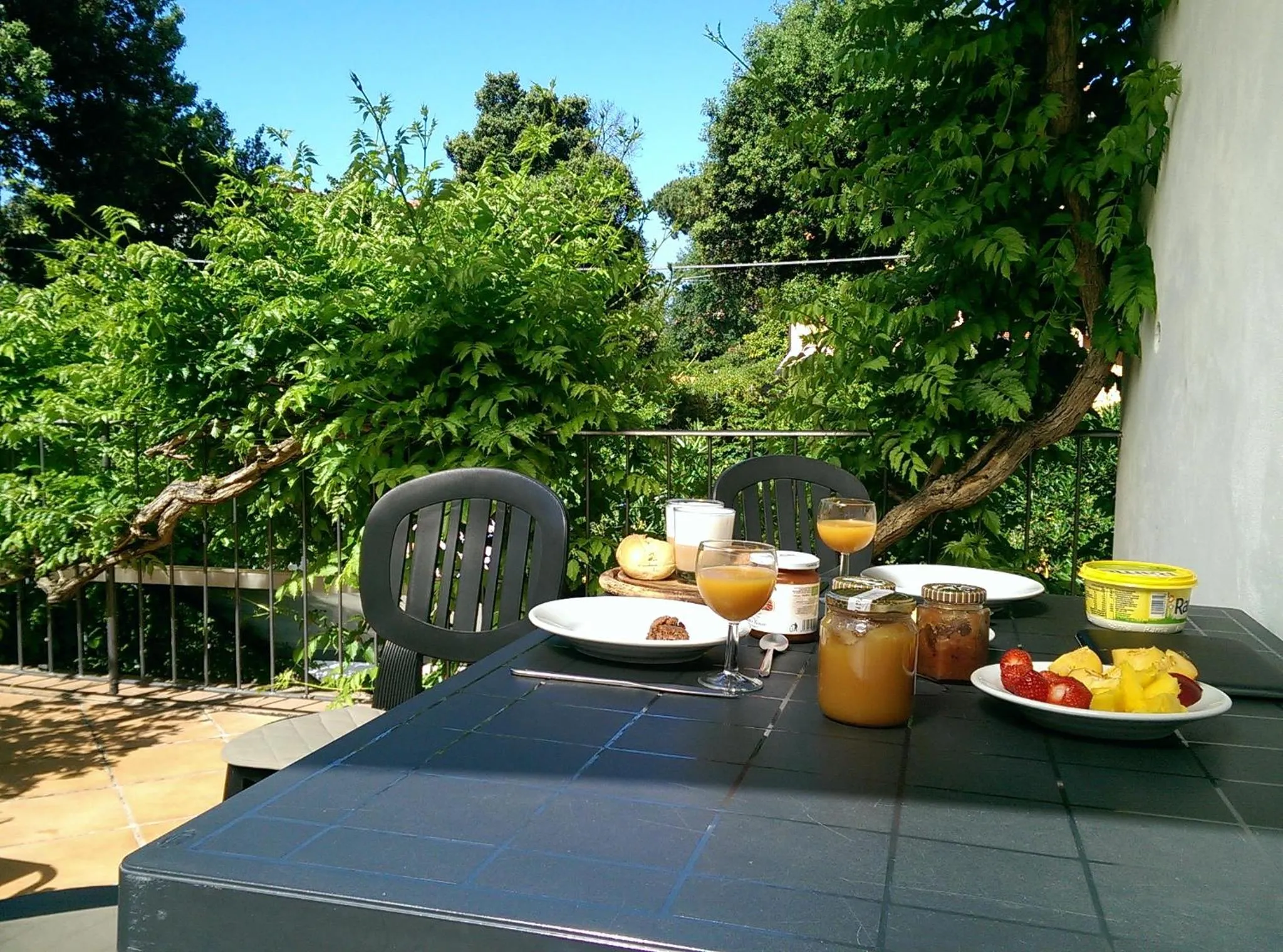 Balcony/Terrace in Casa Furrer