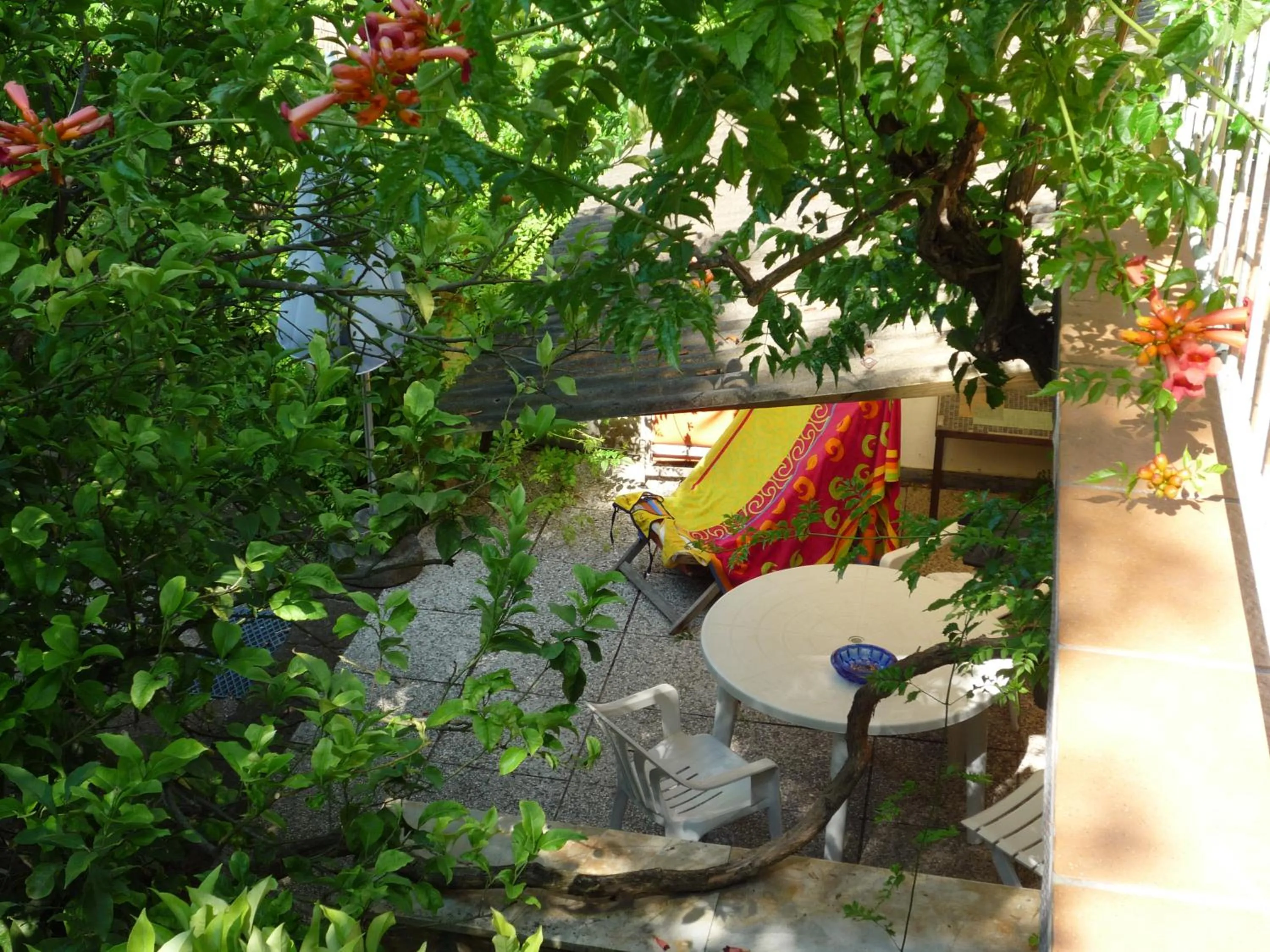 Garden view in Casa Furrer