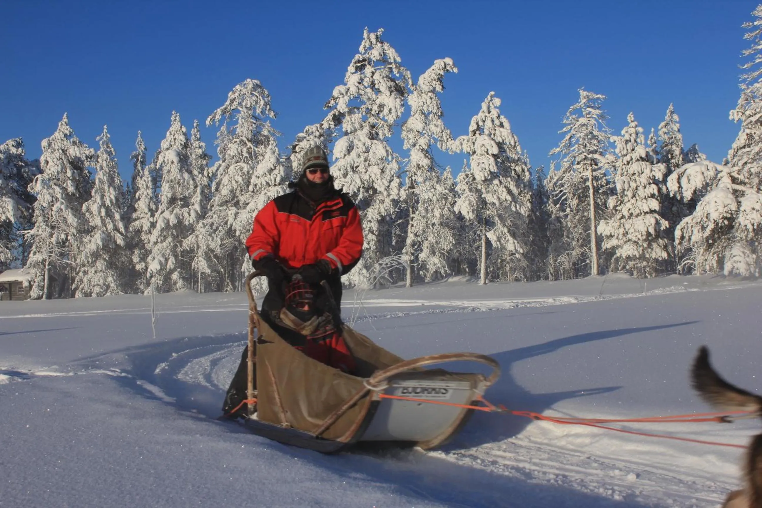 Activities in Beana Laponia - Wilderness boutique hotel with safaris