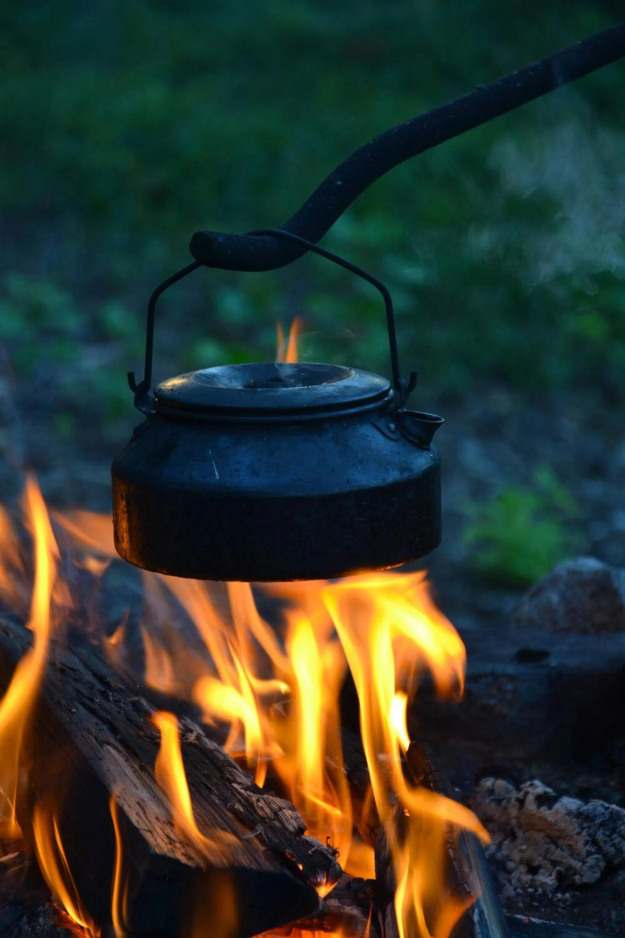 Food and drinks in Beana Laponia - Wilderness boutique hotel with safaris