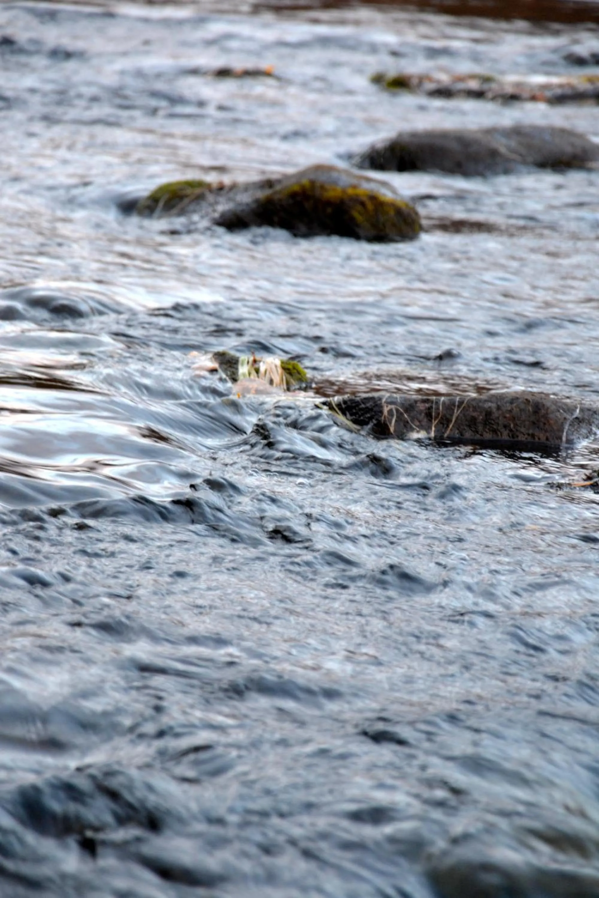 Natural landscape in Beana Laponia - Wilderness boutique hotel with safaris