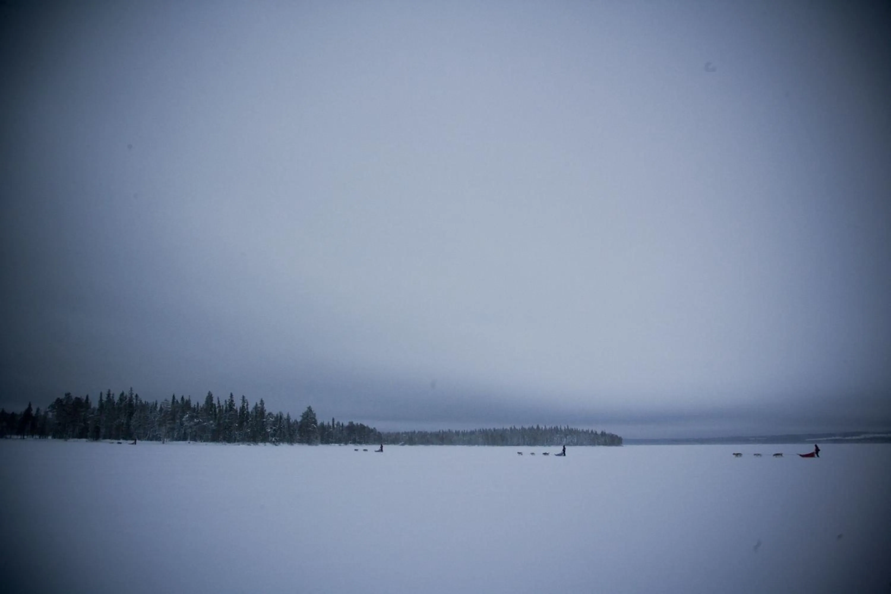 Activities in Beana Laponia - Wilderness boutique hotel with safaris