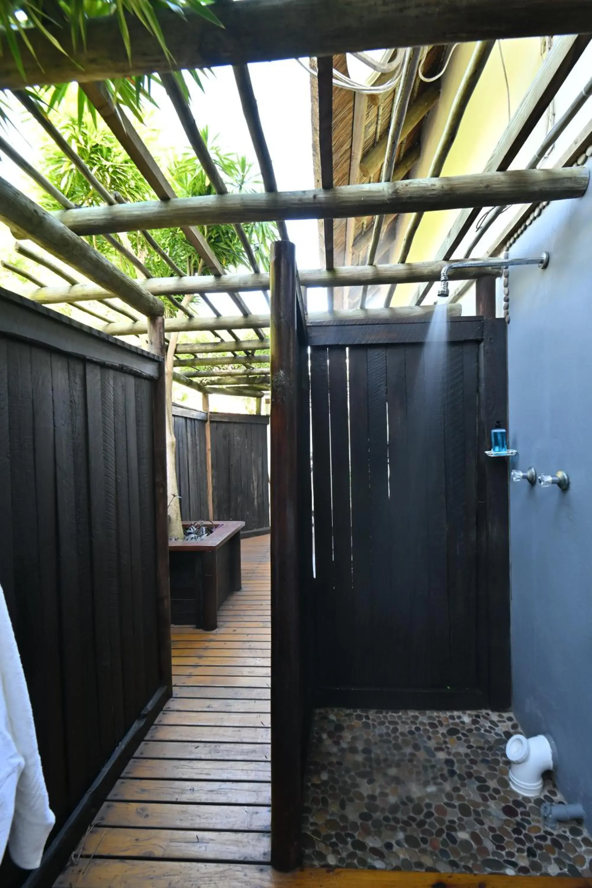 Standard Twin Room - single occupancy in BonBini Guest House Standard Twin Room - single occupancy in BonBini Guest House