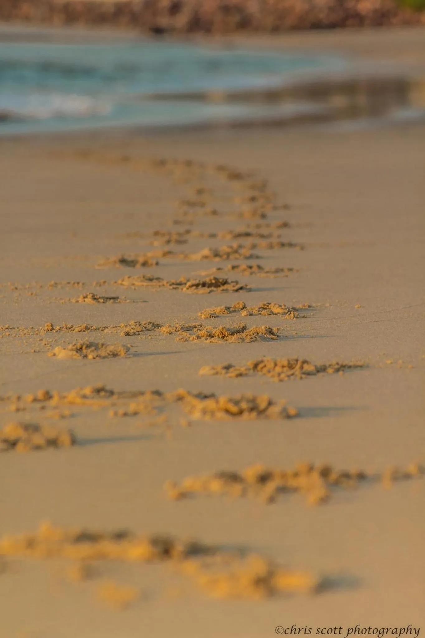 Natural landscape in BonBini Guest House