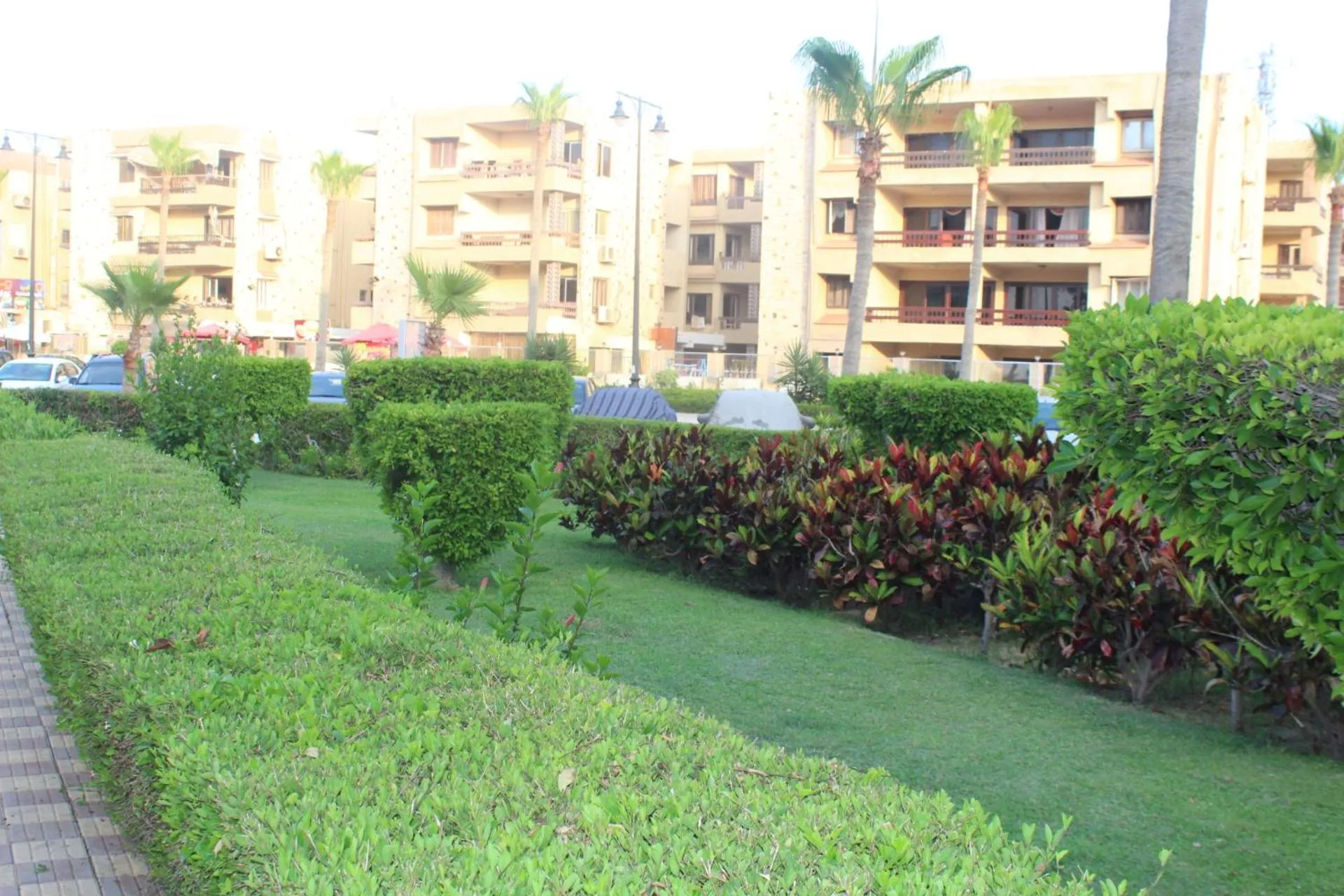 Neighbourhood in Maamoura Armed Forces Apartments