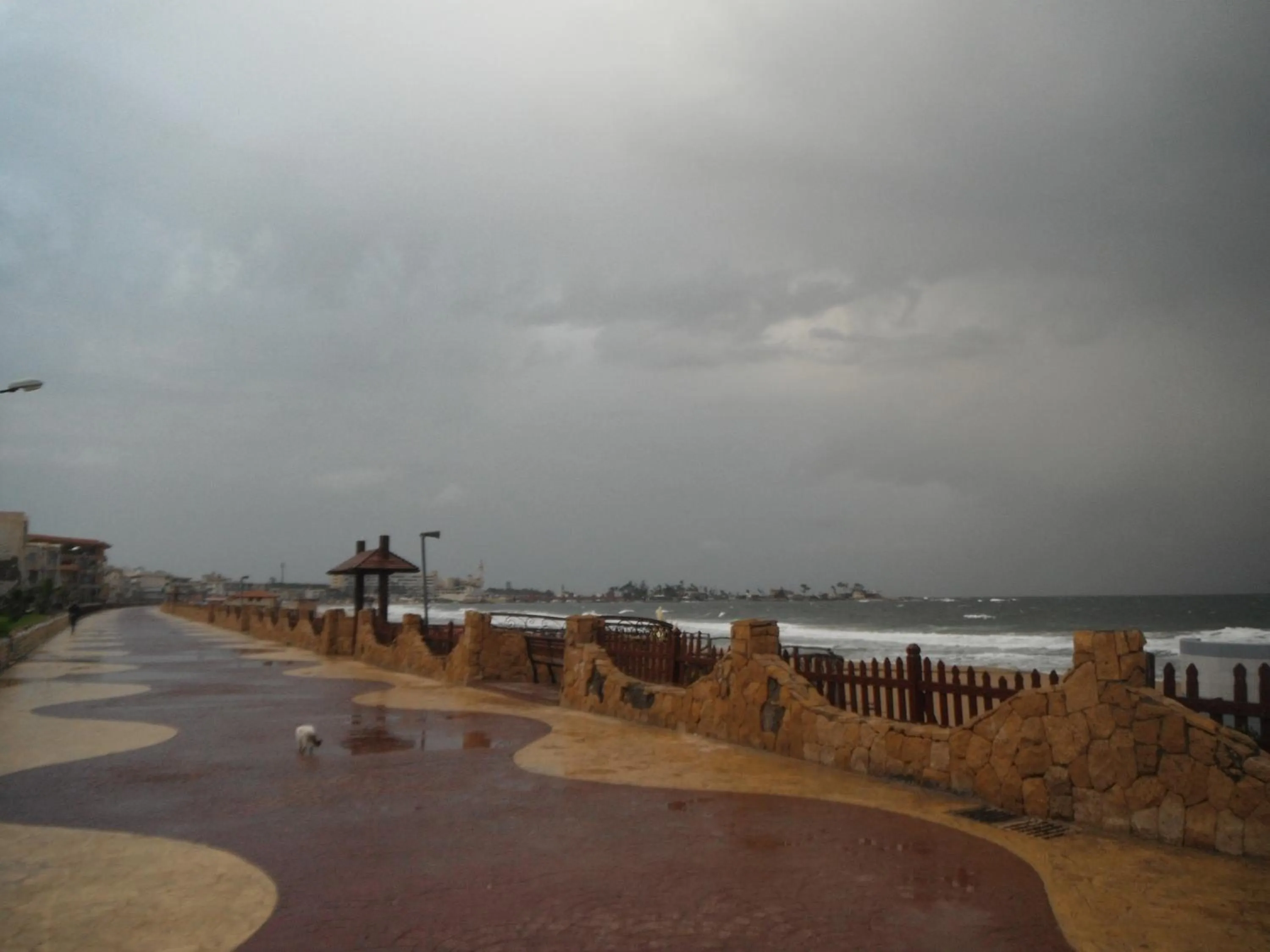 Beach in Maamoura Armed Forces Apartments