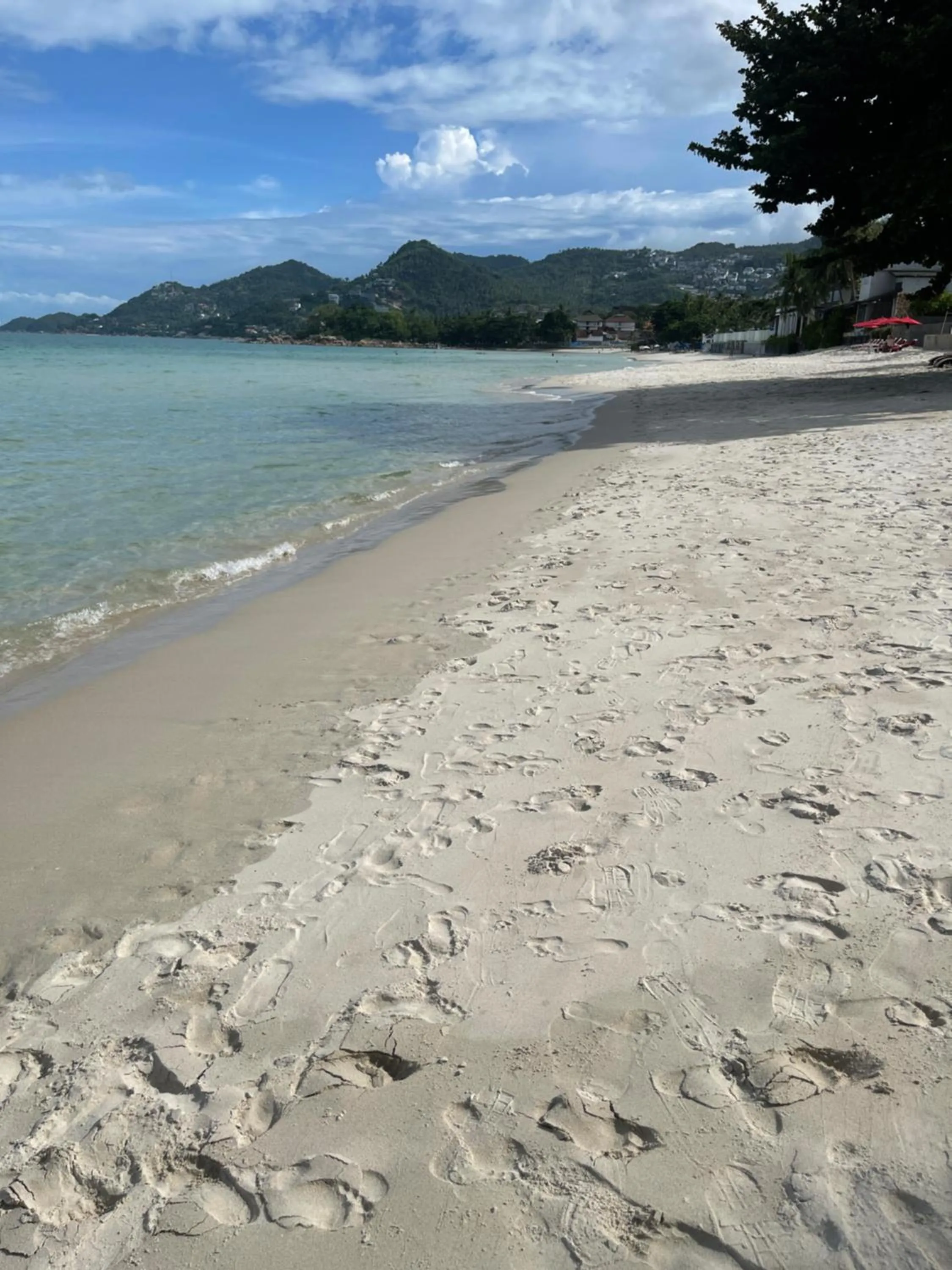 Natural landscape in Samui Green Hotel