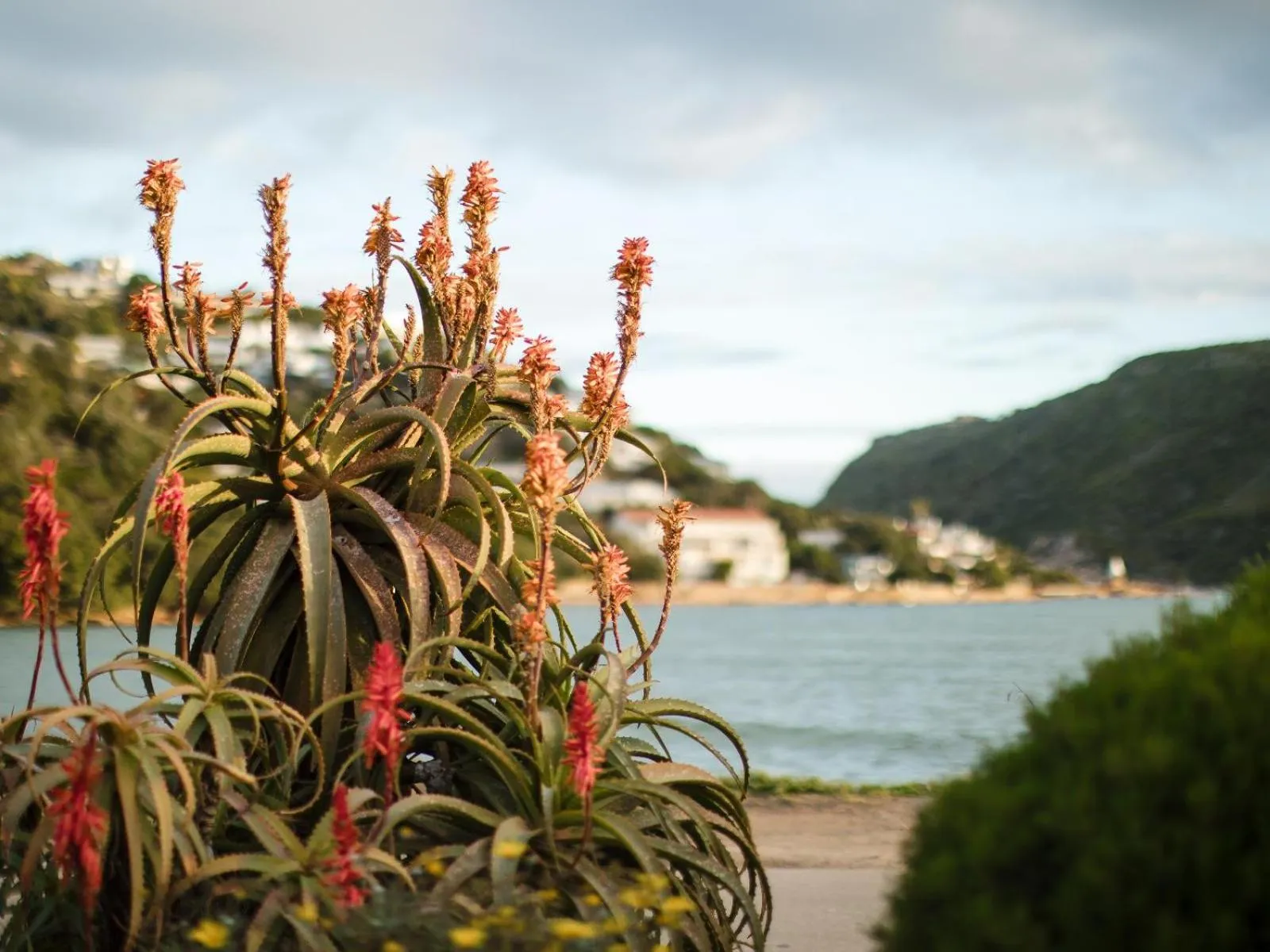BBQ facilities in Amanzi Island Boutique Hotel