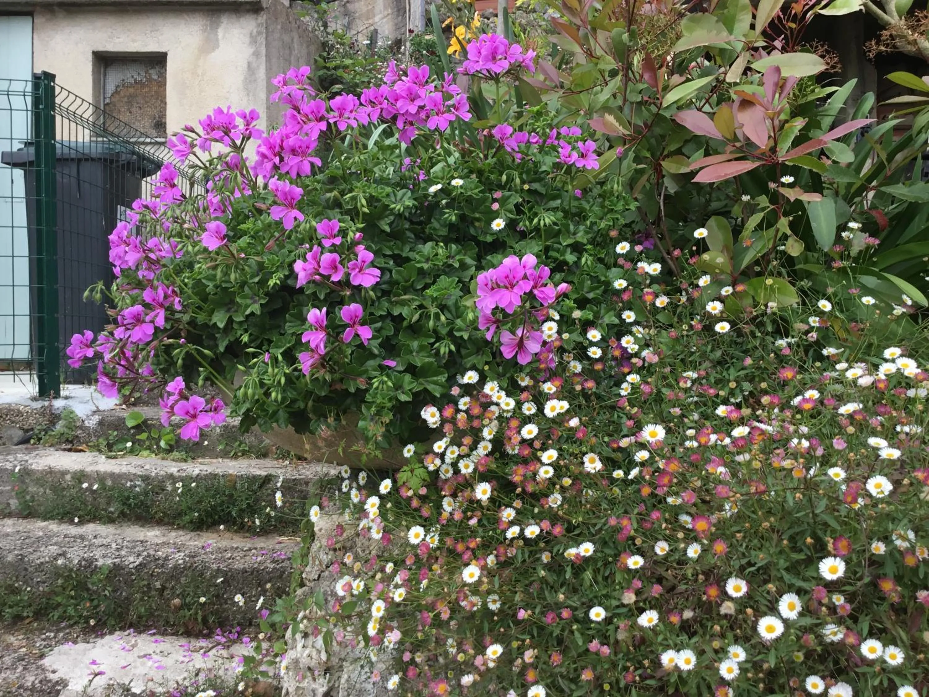 Property building in Skylark Bed & Breakfast