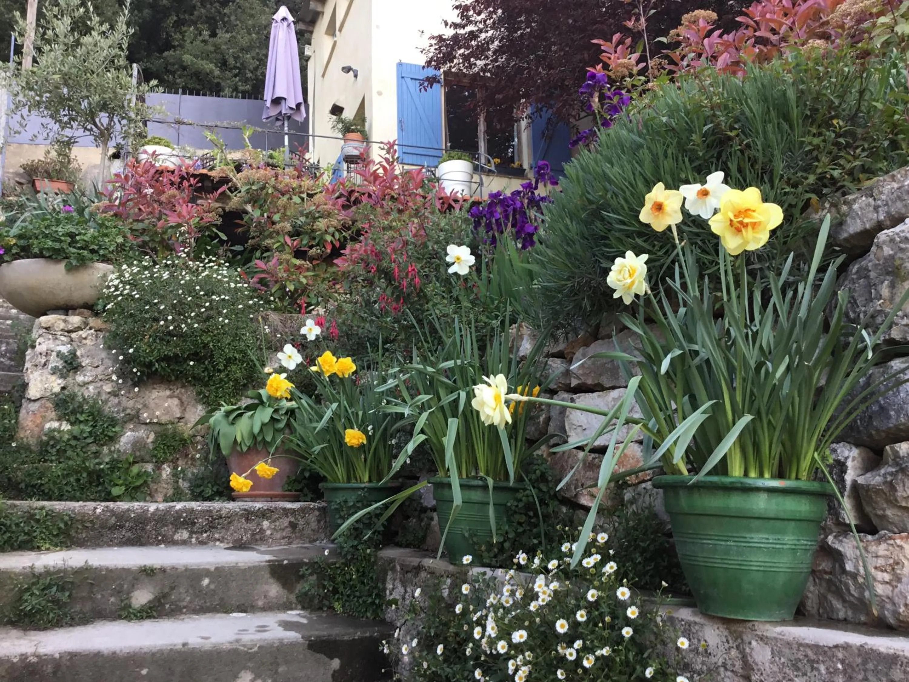 Property building in Skylark Bed & Breakfast