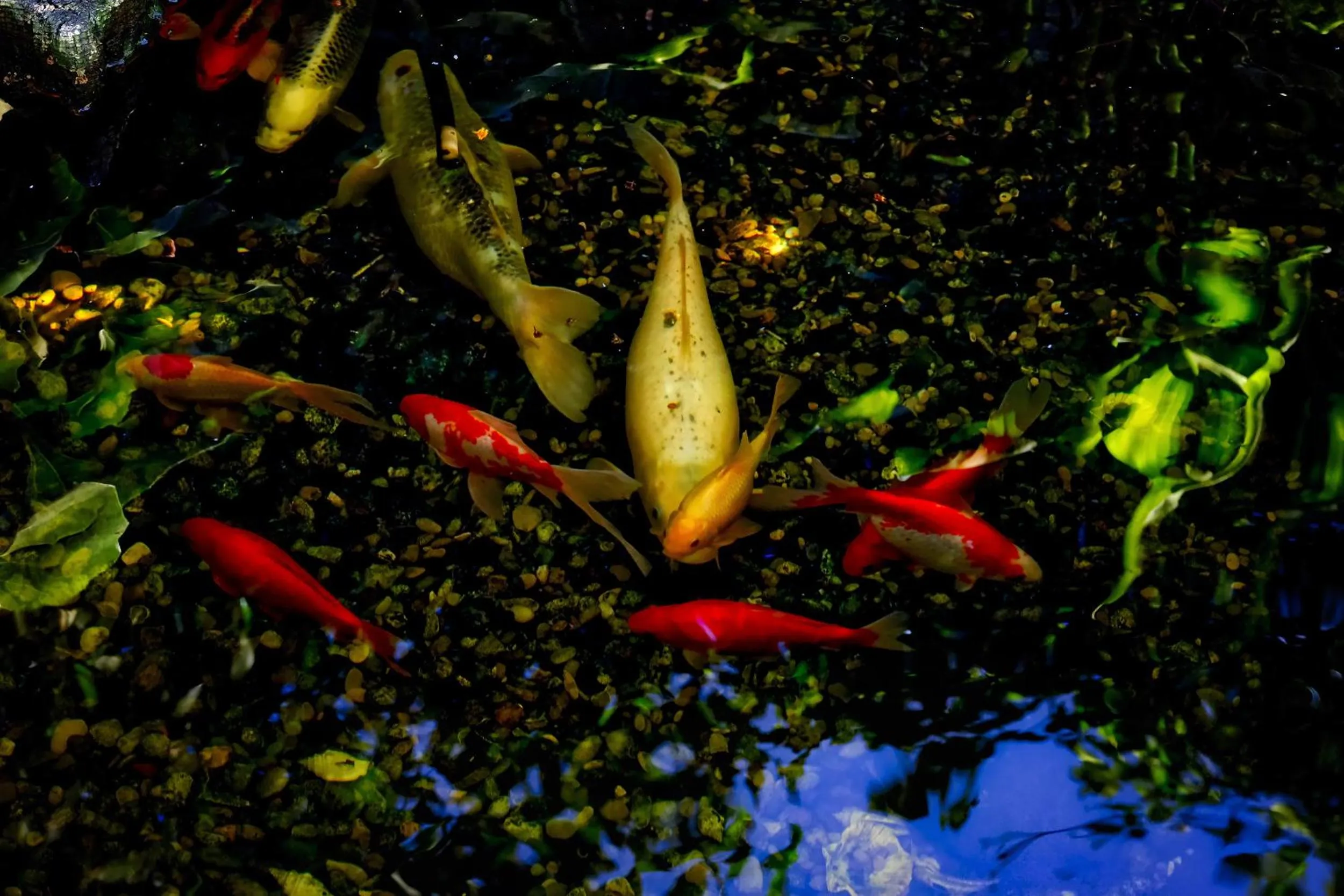 Property building in Skylark Bed & Breakfast