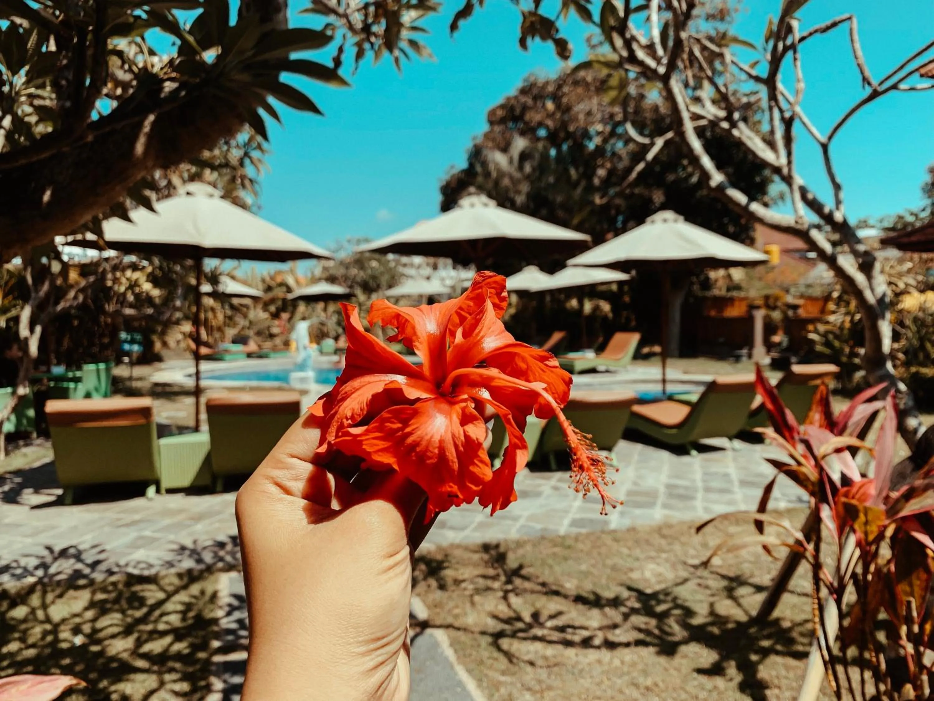 Swimming pool in Bali Wirasana Inn