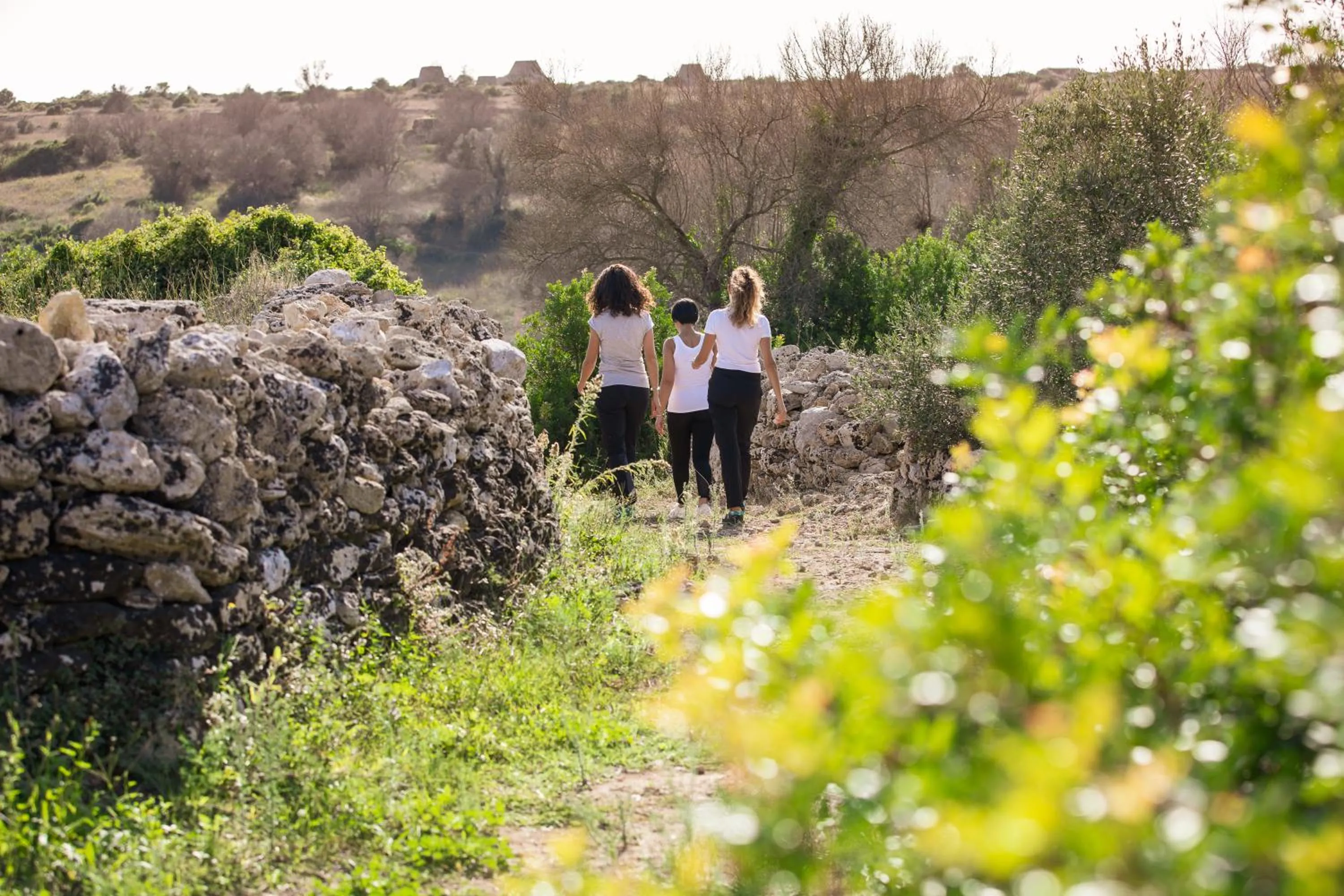 Natural landscape in Masseria Fano Relais & Wine