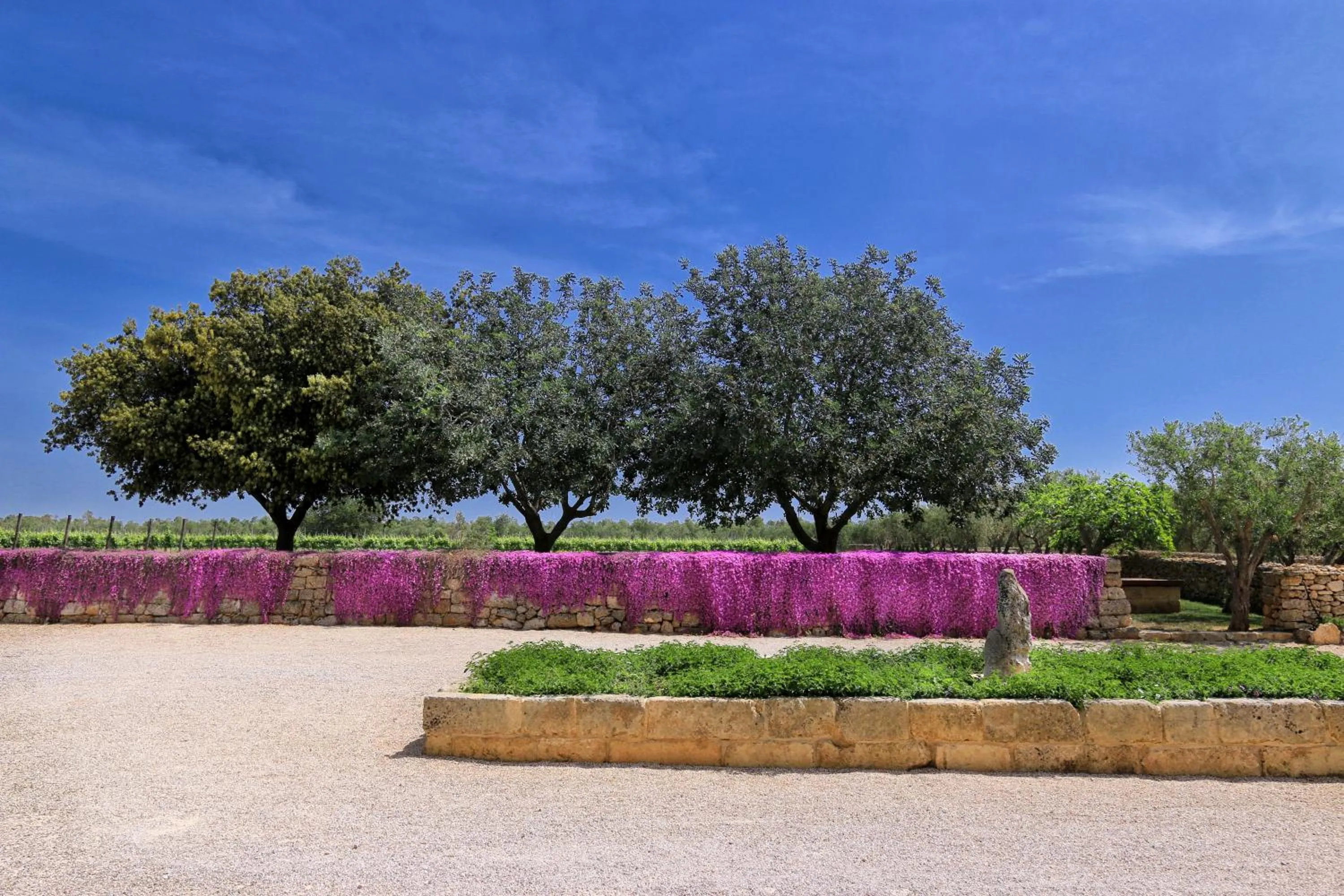 Garden in Masseria Fano Relais & Wine