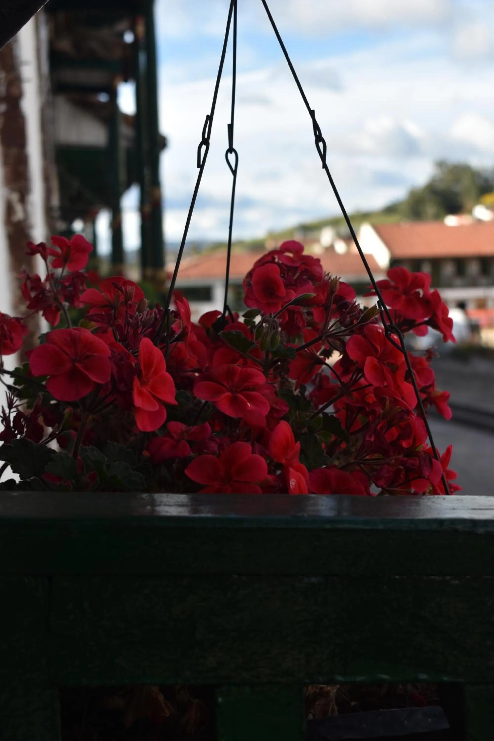 Natural landscape in Mongui Plaza Hotel