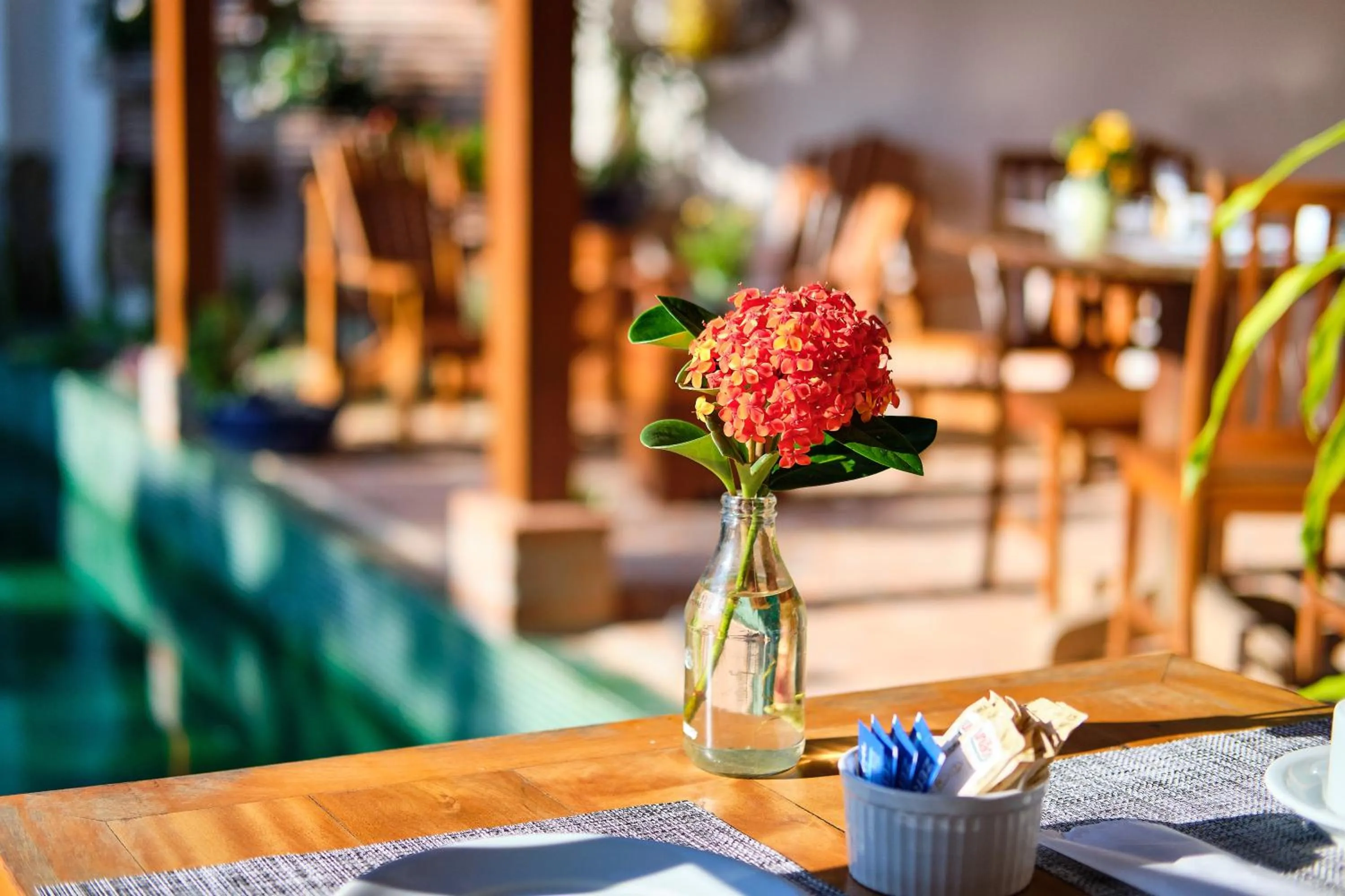 Restaurant/places to eat in Boutique Hotel Carpe Diem