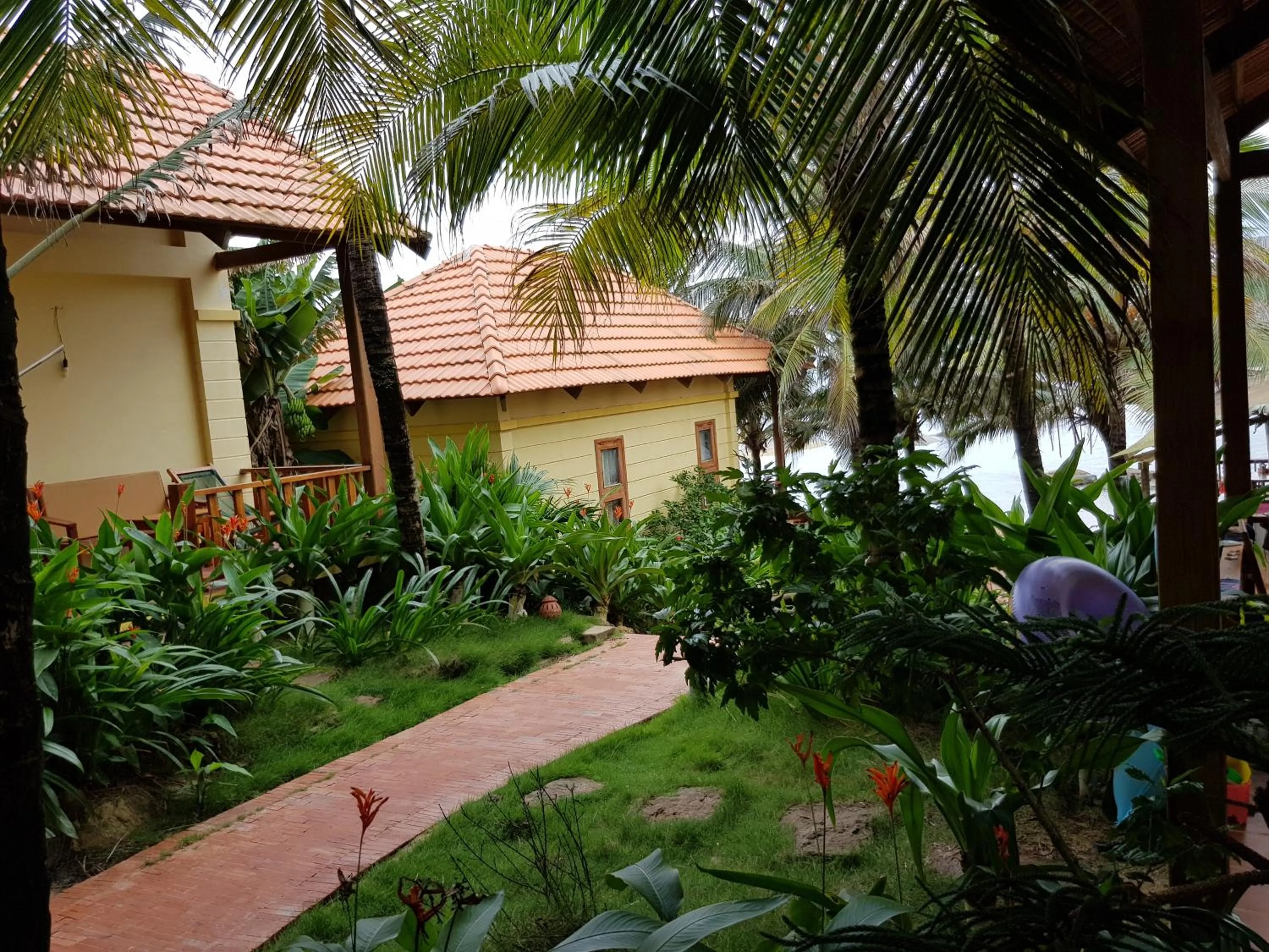 Garden view in Free Beach Resort