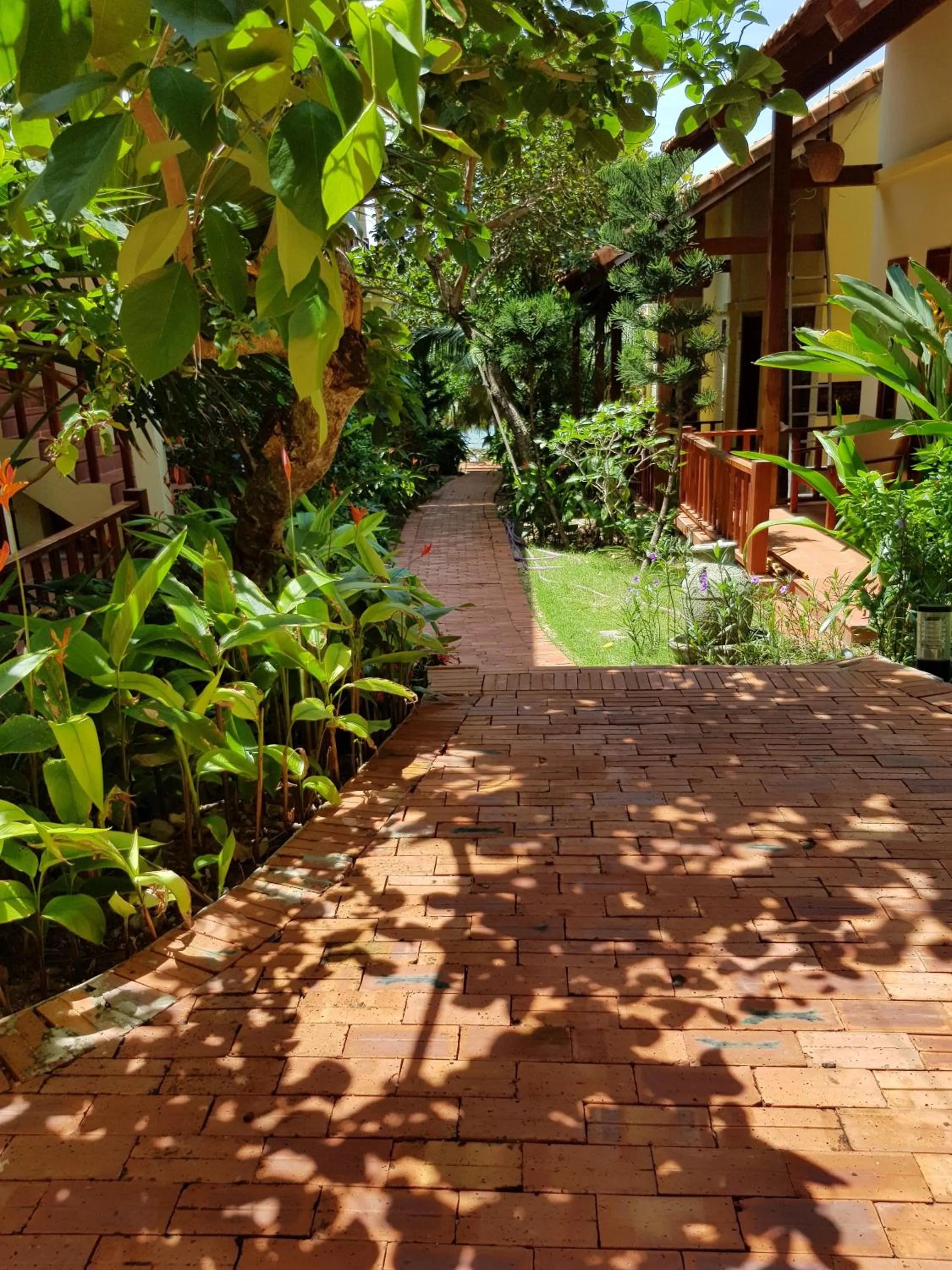 Garden view in Free Beach Resort