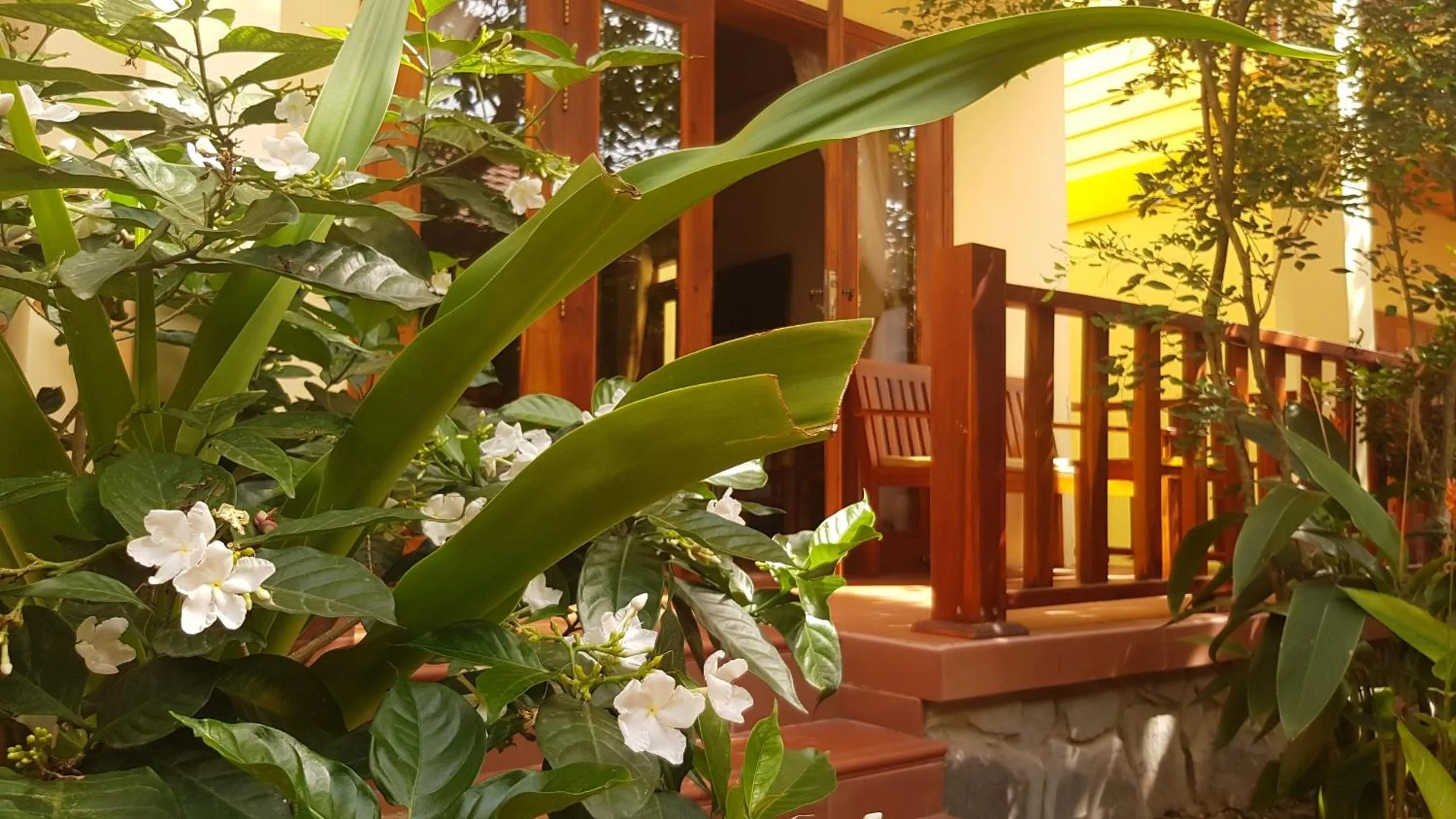 Patio in Free Beach Resort