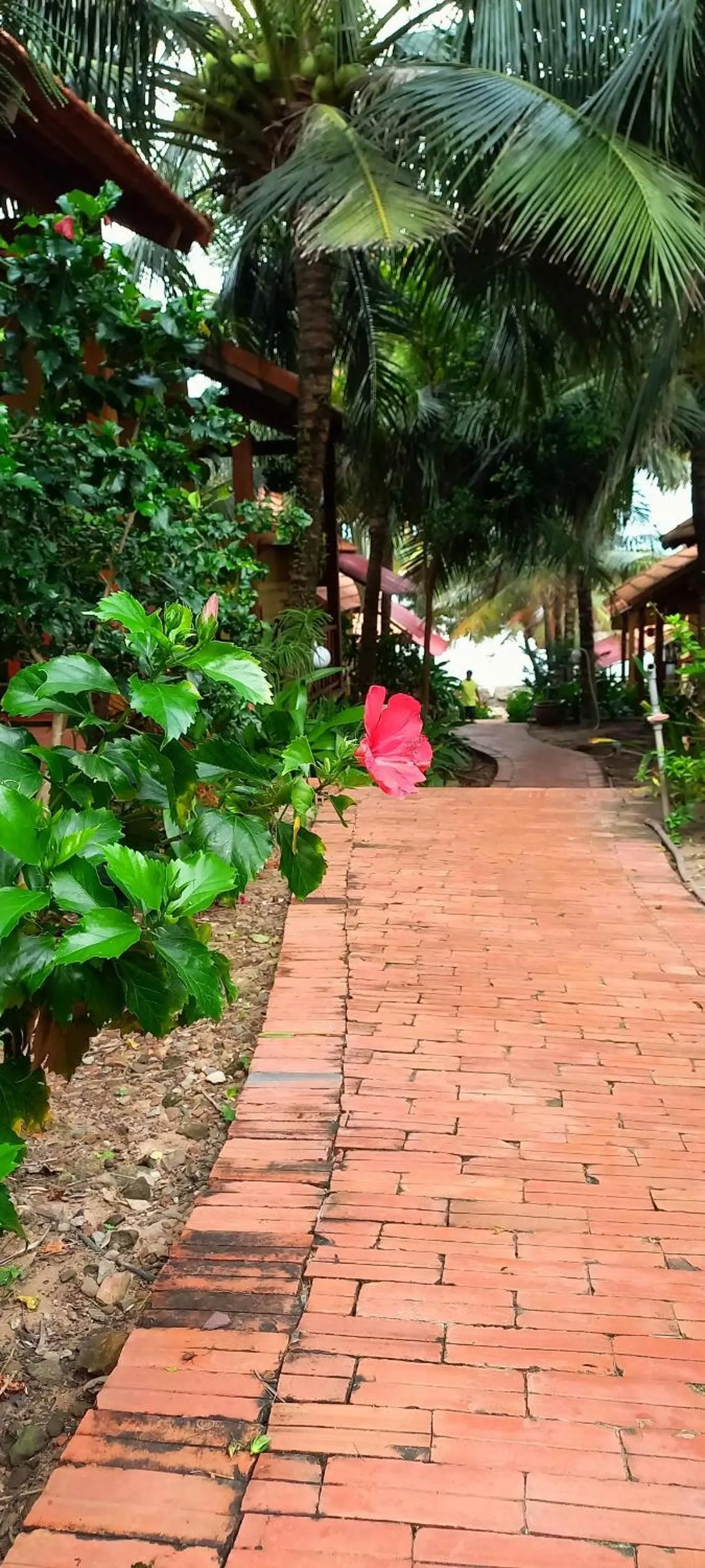 Other in Free Beach Resort