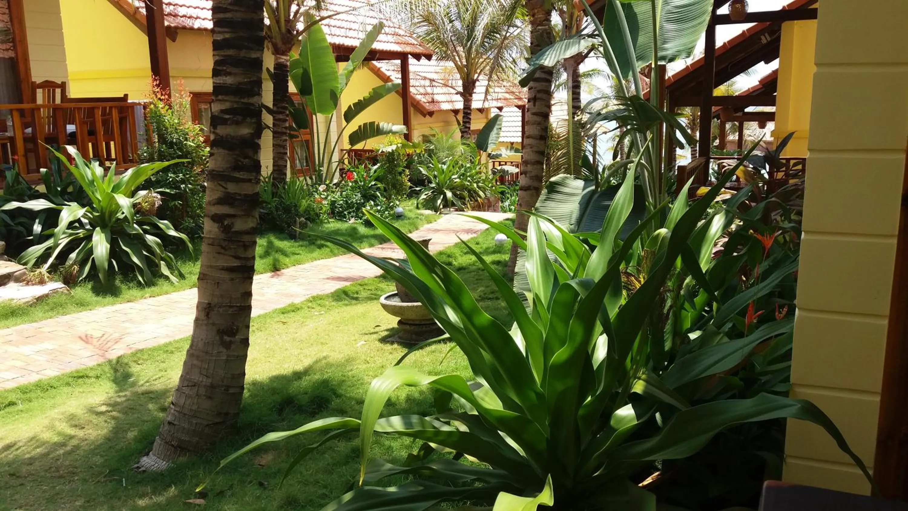 Day in Free Beach Resort