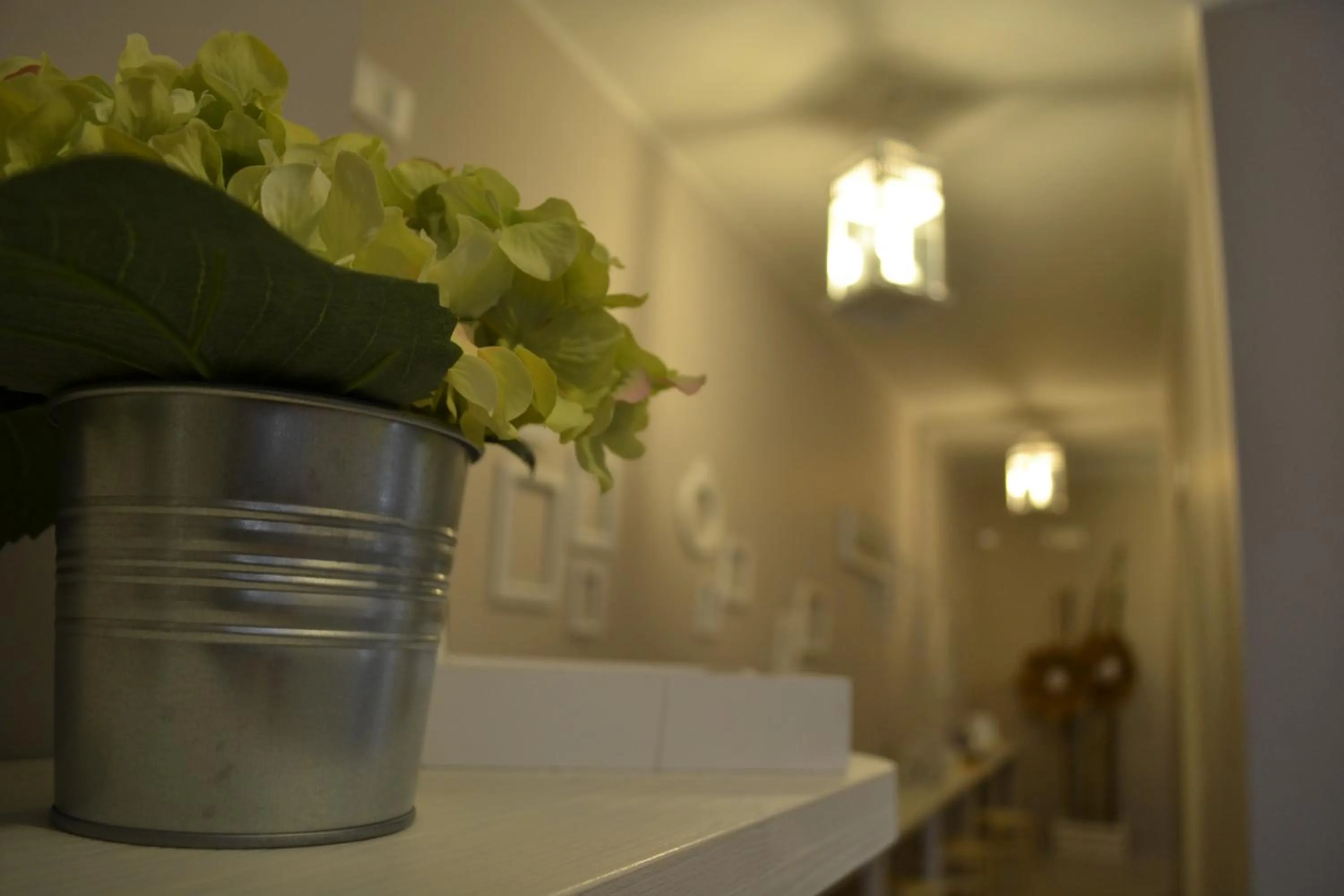 Communal lounge/ TV room in Myricae