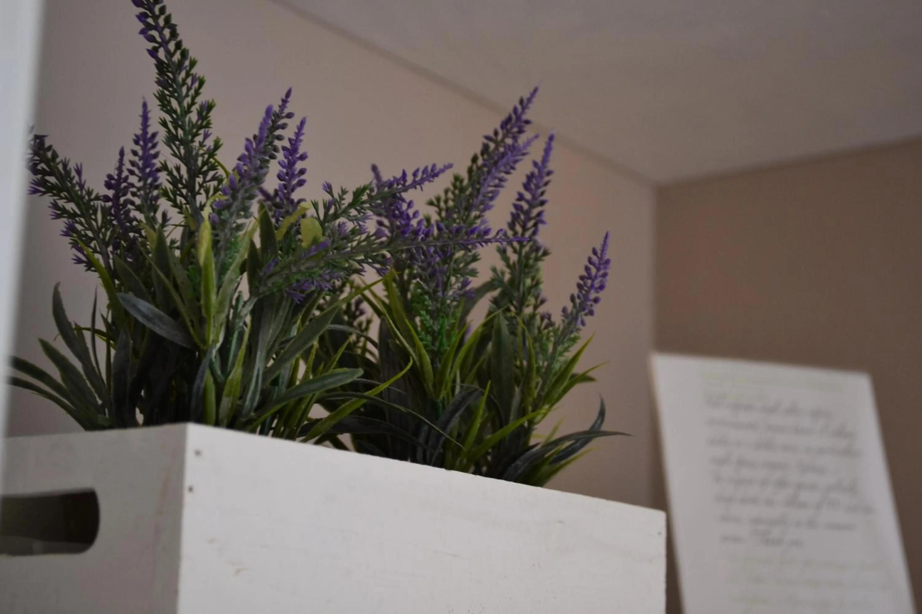 Decorative detail in Myricae