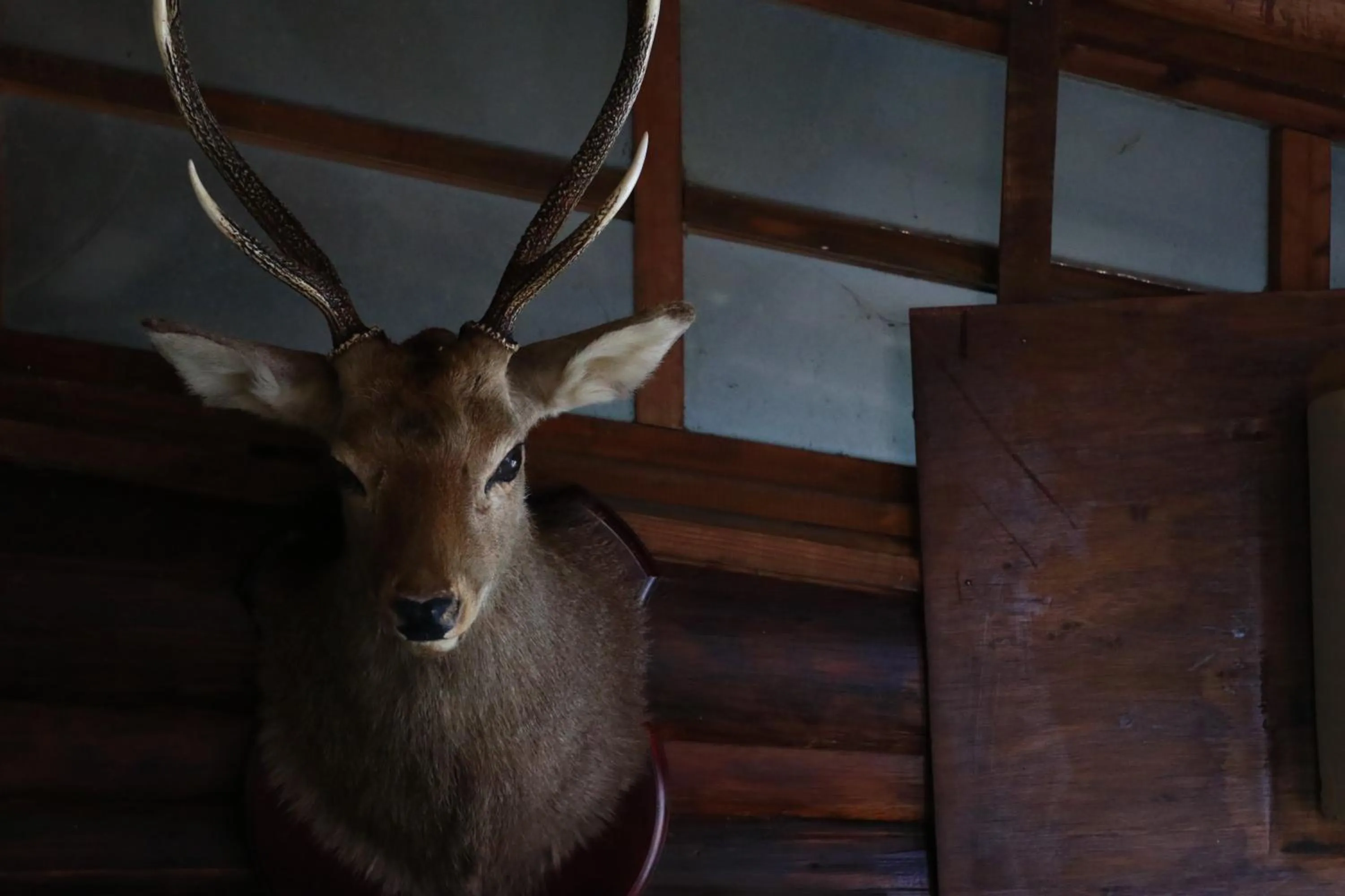 Area and facilities in Minshuku Iwana no Sato