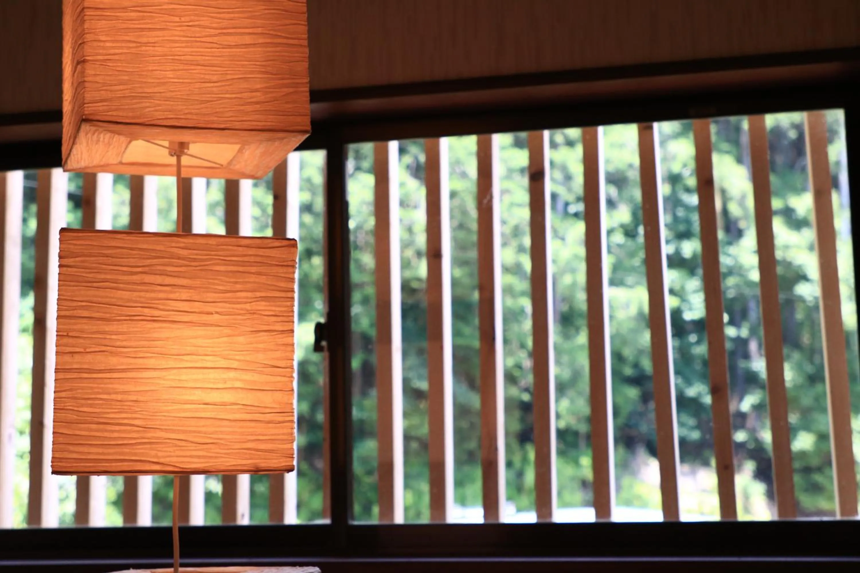 Area and facilities in Minshuku Iwana no Sato