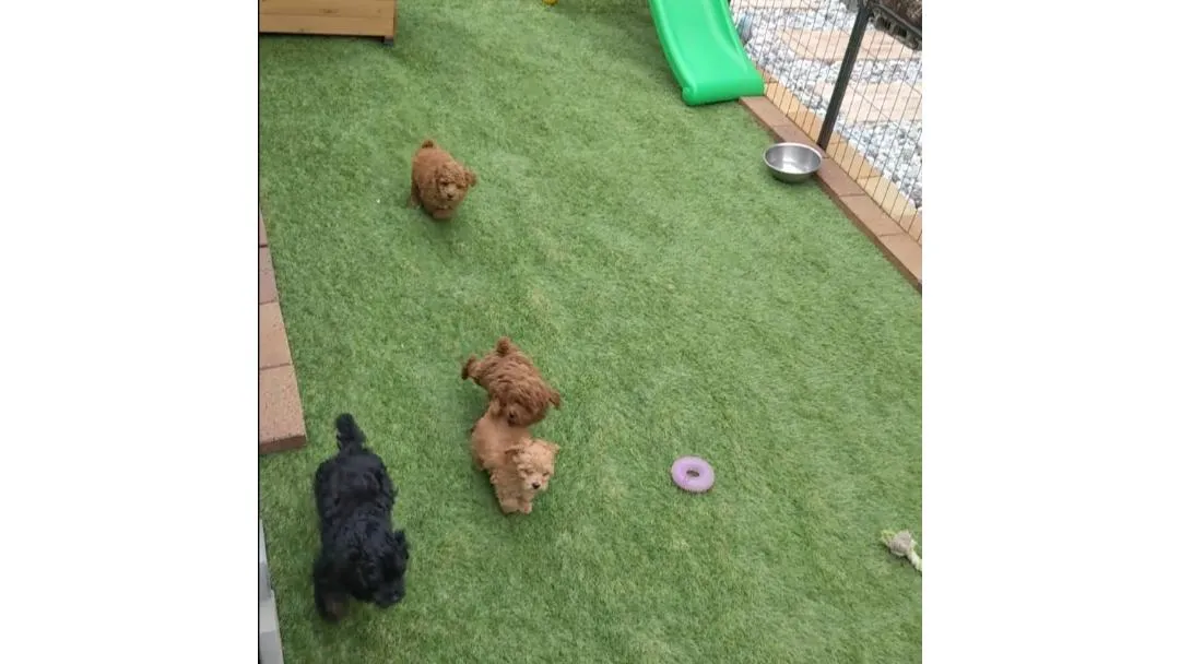 Area and facilities in Minshuku Iwana no Sato