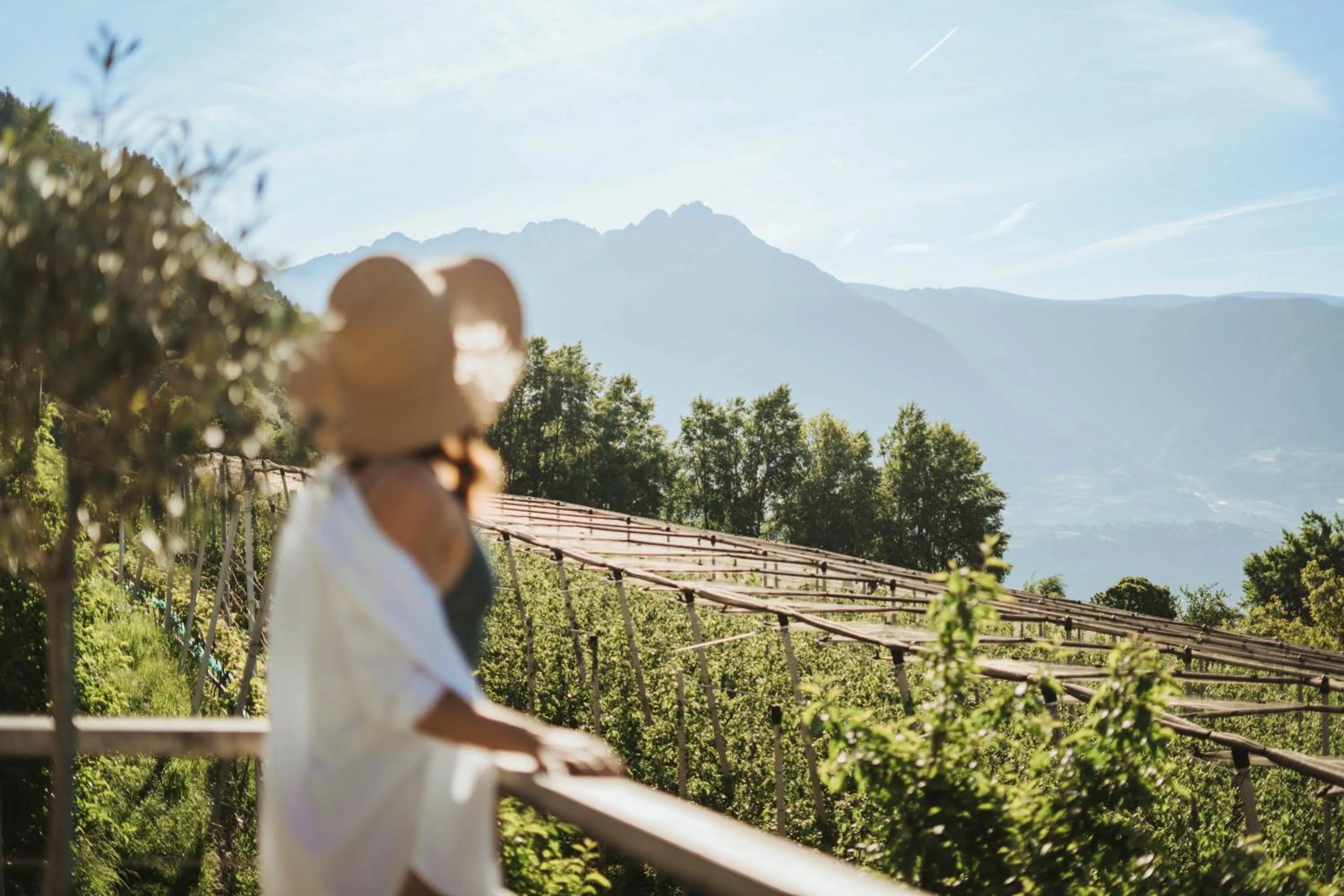 Garden view in Hotel Niedermair