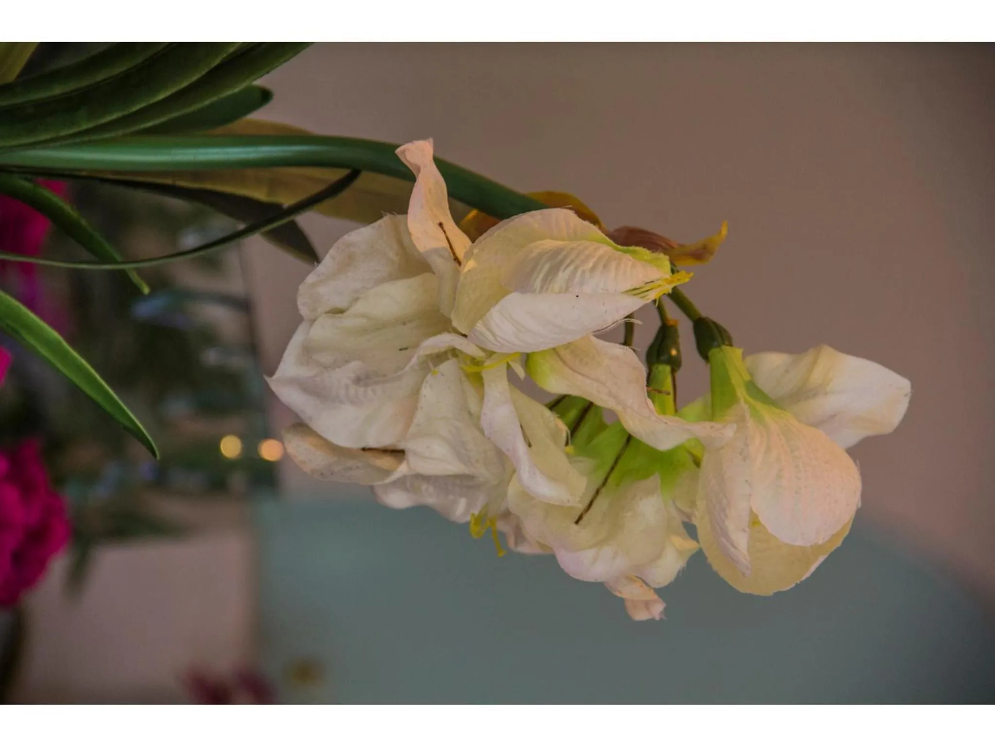 Decorative detail in La Loggia Bed and Breakfast